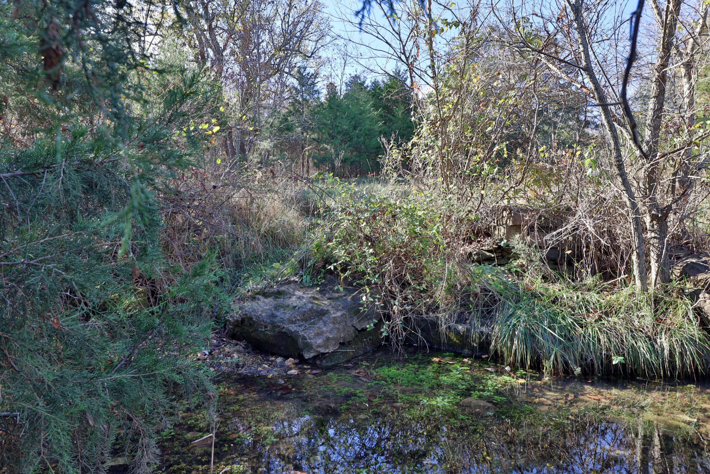 Photo 7 - Land for sale – 000 W State Highway U   Walnut Grove, MO