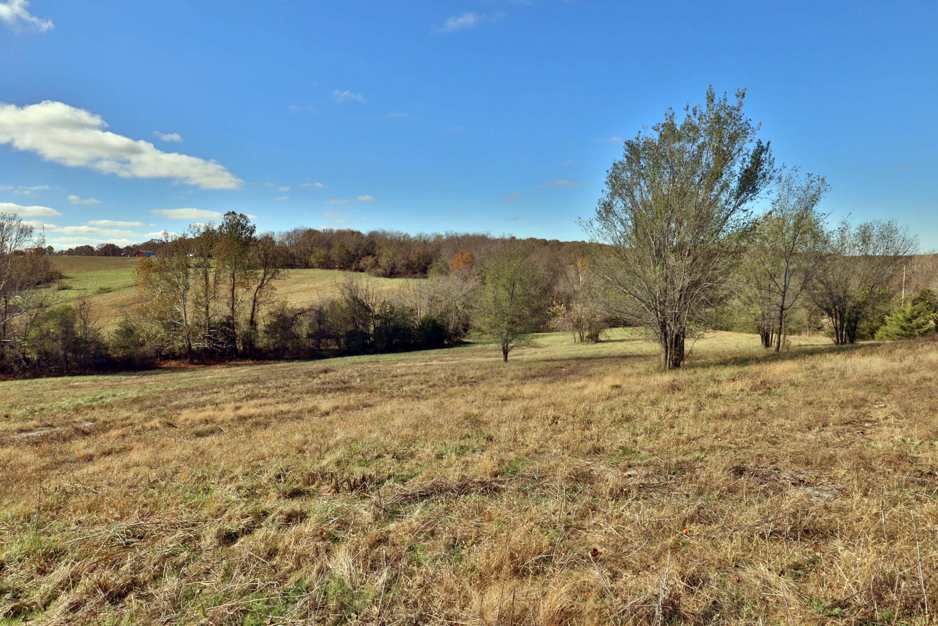 Photo 5 - Land for sale – 000 W State Highway U   Walnut Grove, MO