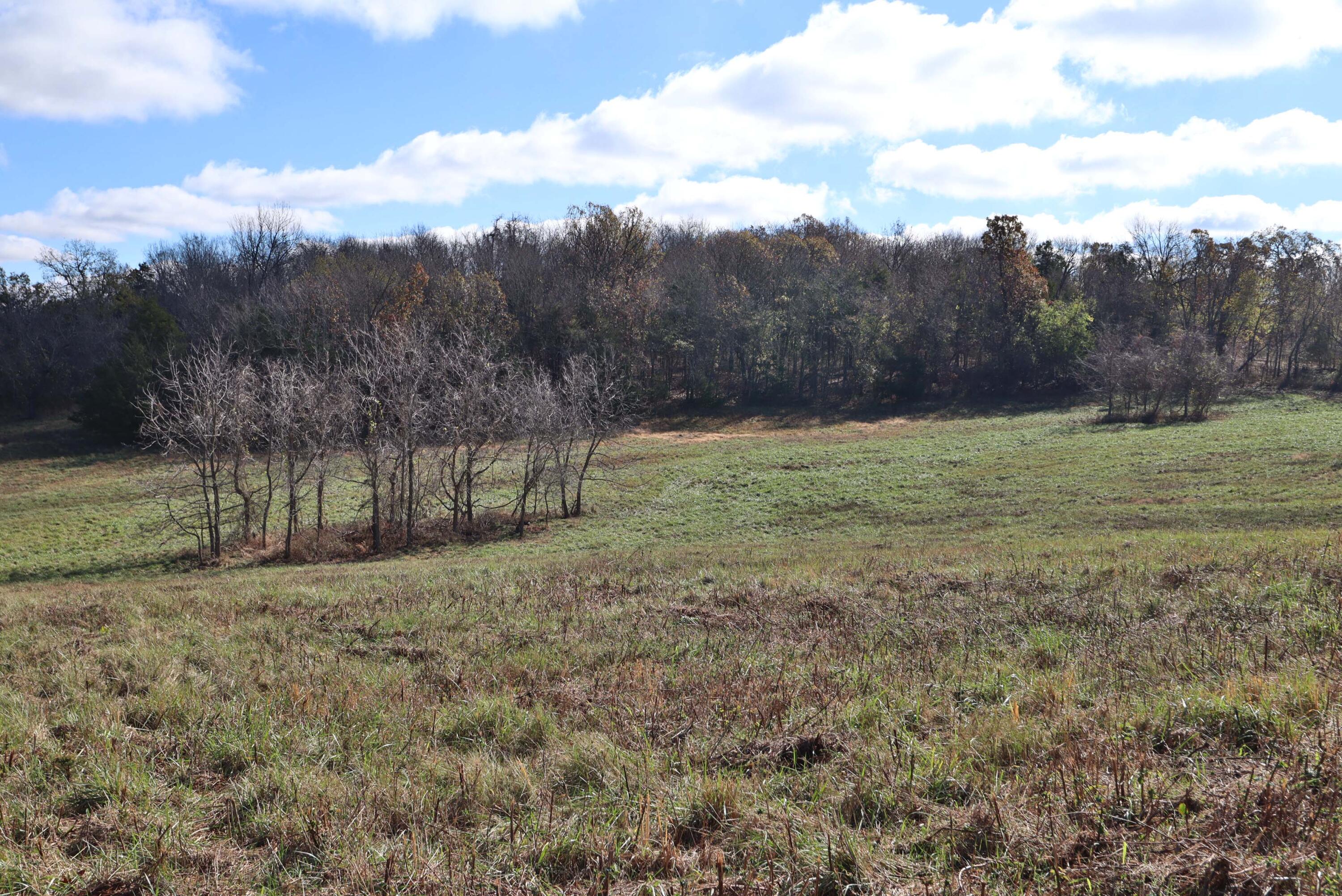 Photo 11 - Land for sale – 000 W State Highway U   Walnut Grove, MO