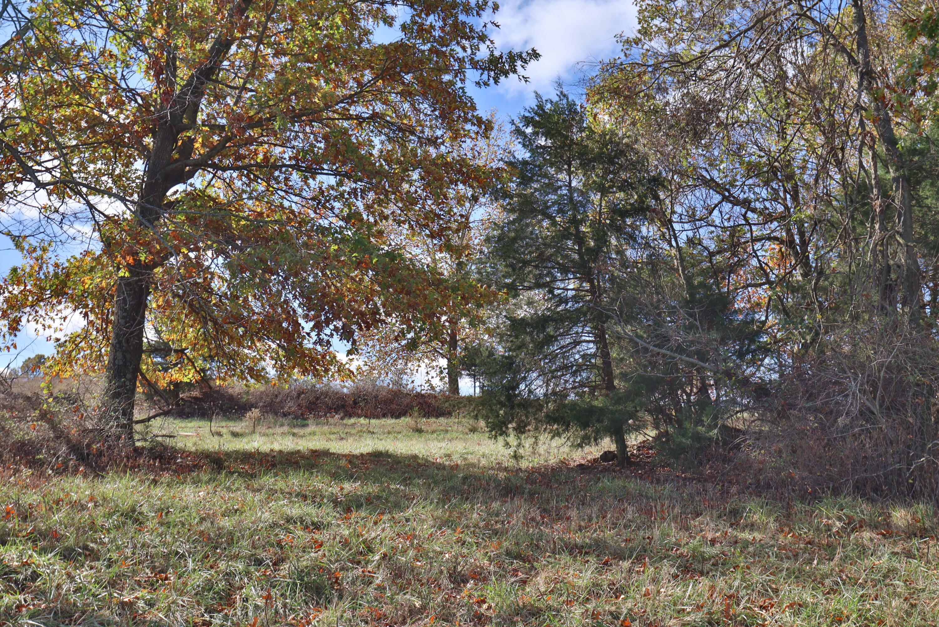 Photo 9 - Land for sale – 000 W State Highway U   Walnut Grove, MO