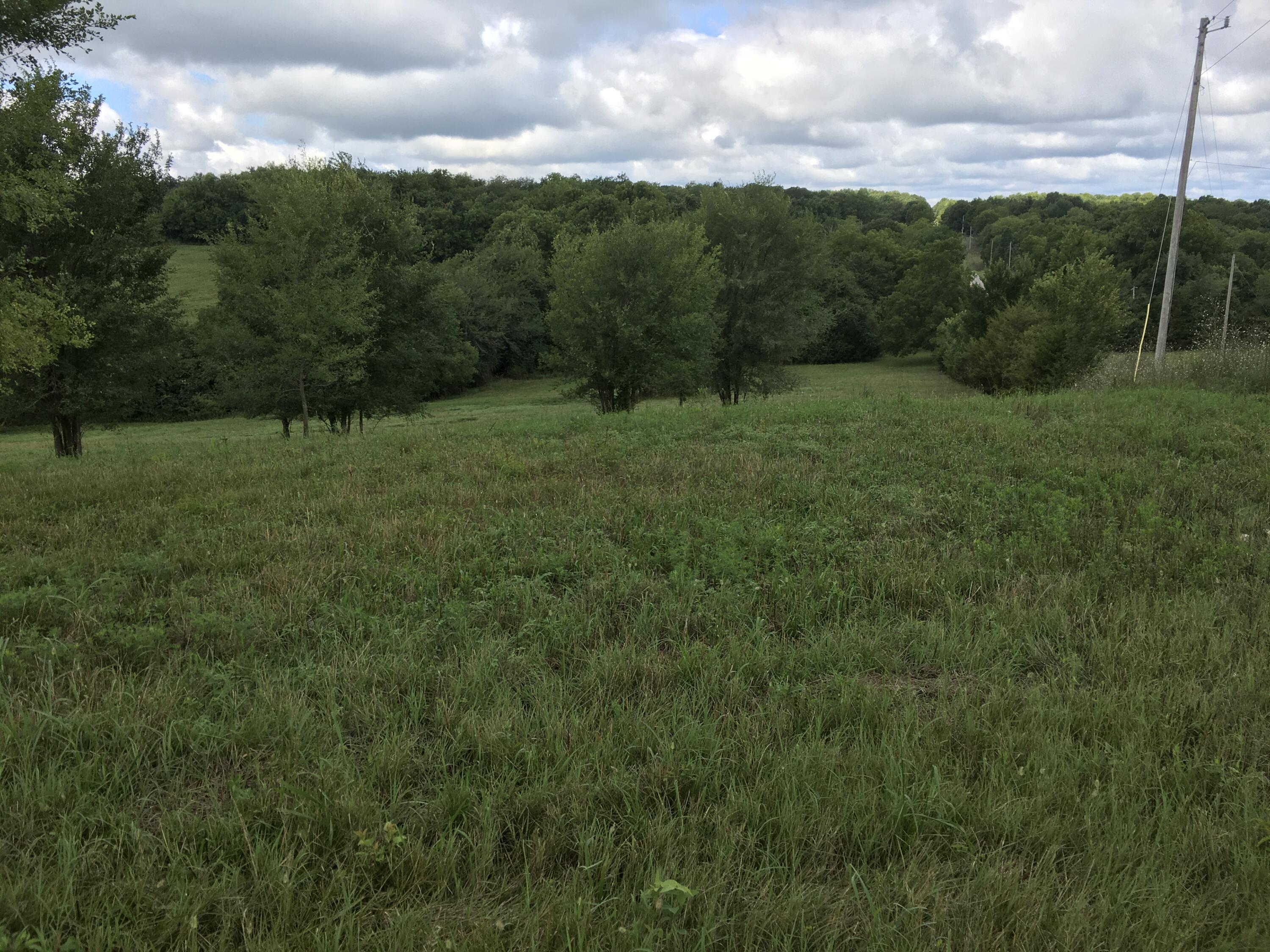 Photo 14 - Land for sale – 000 W State Highway U   Walnut Grove, MO