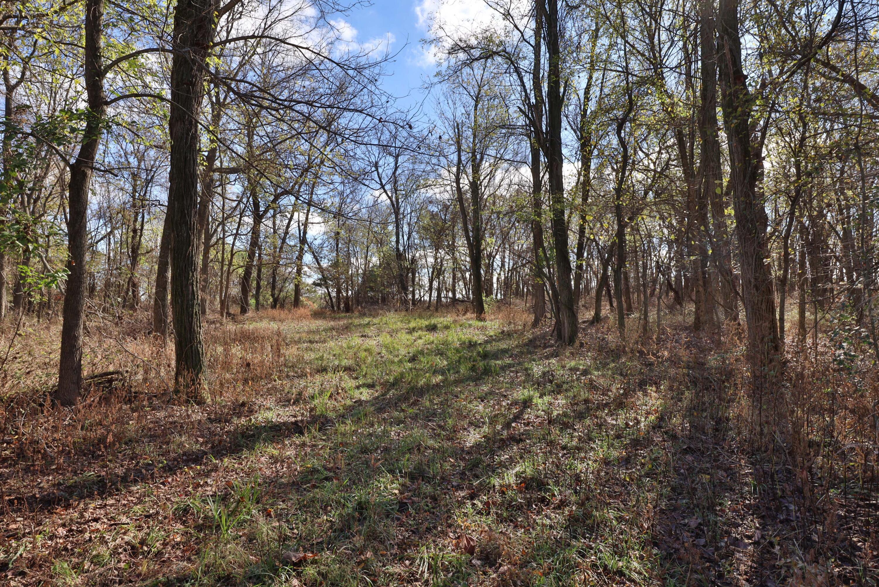 Photo 3 - Land for sale – 000 W State Highway U   Walnut Grove, MO