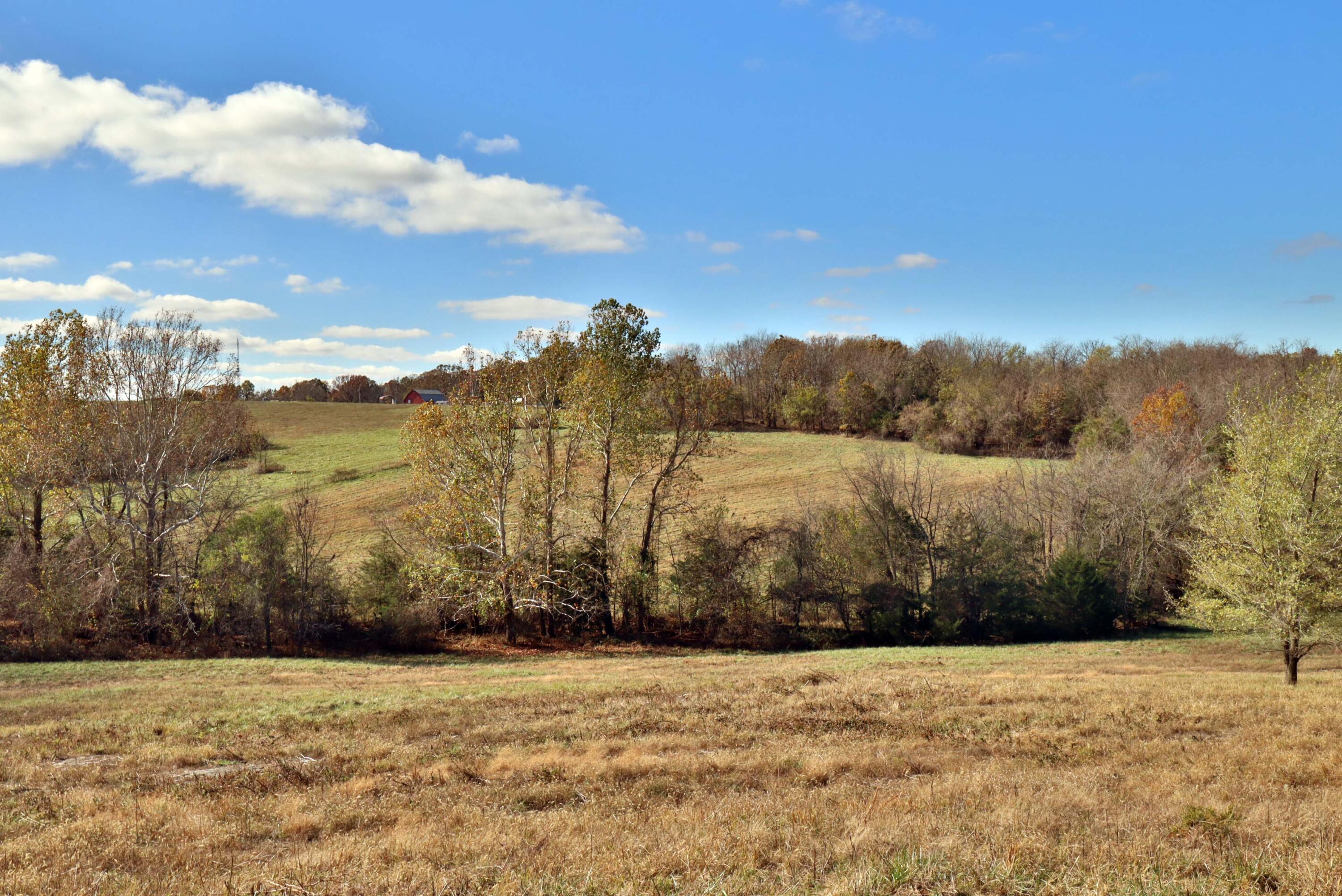 Land for sale – 000 W State Highway U   Walnut Grove, MO