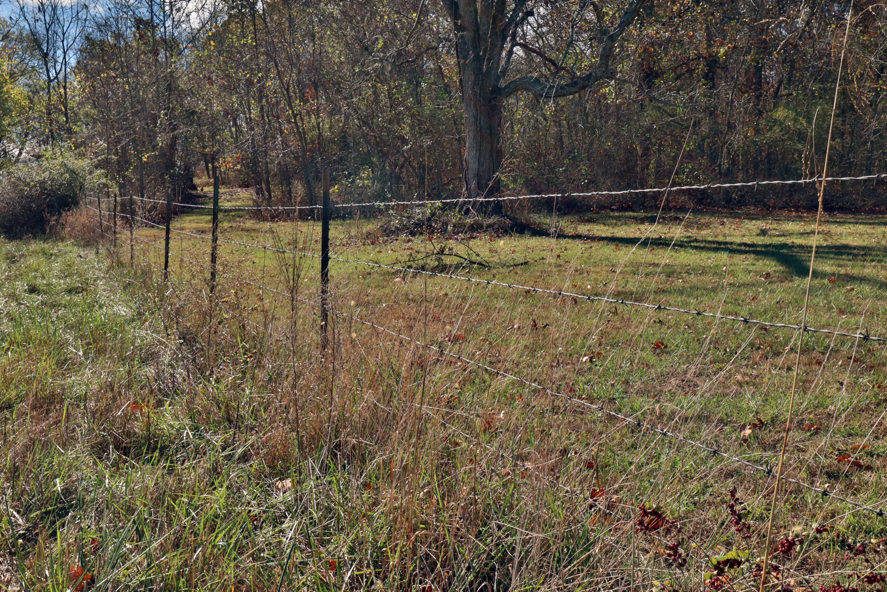 Photo 10 - Land for sale – 000 W State Highway U   Walnut Grove, MO