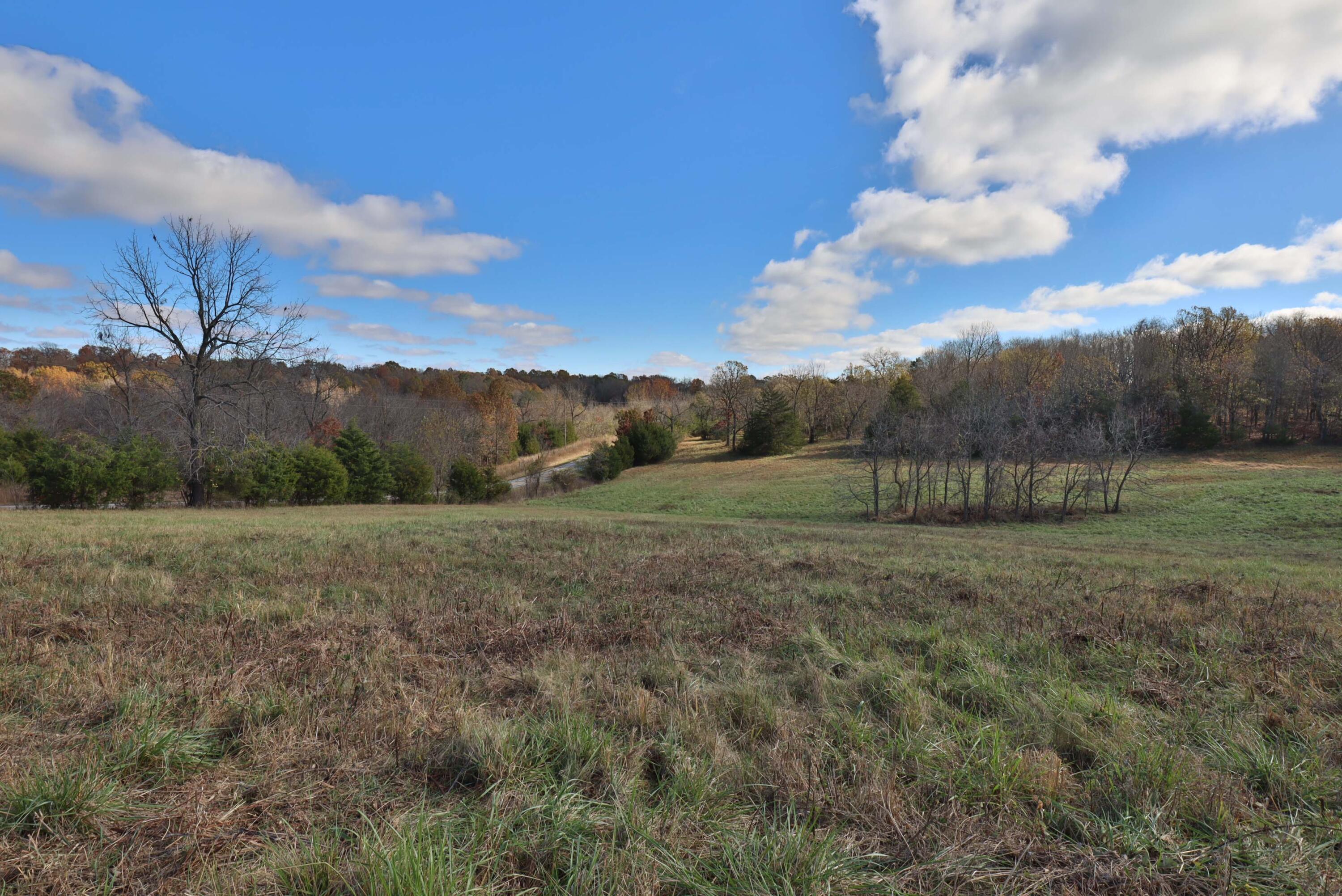 Photo 12 - Land for sale – 000 W State Highway U   Walnut Grove, MO