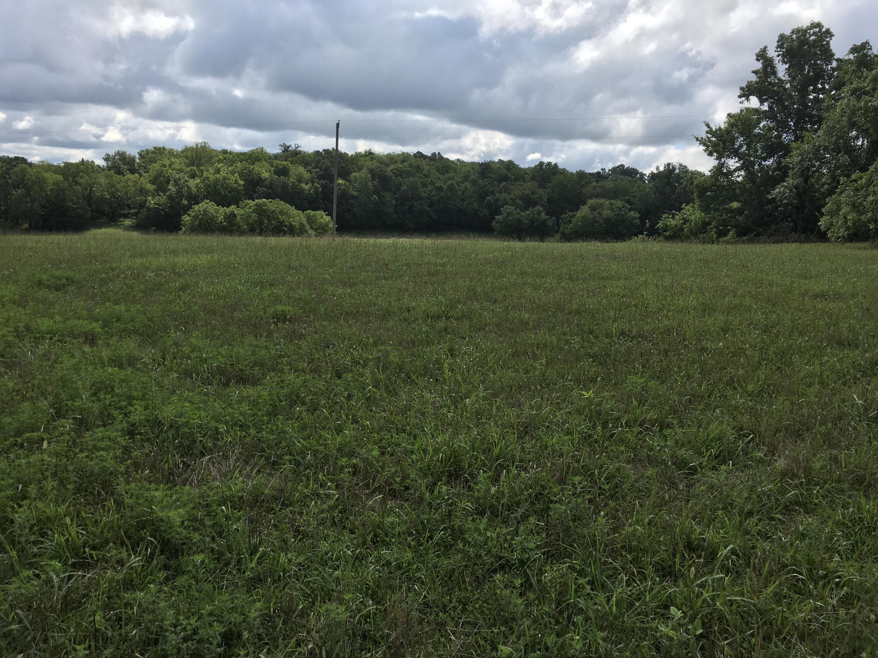 Photo 13 - Land for sale – 000 W State Highway U   Walnut Grove, MO