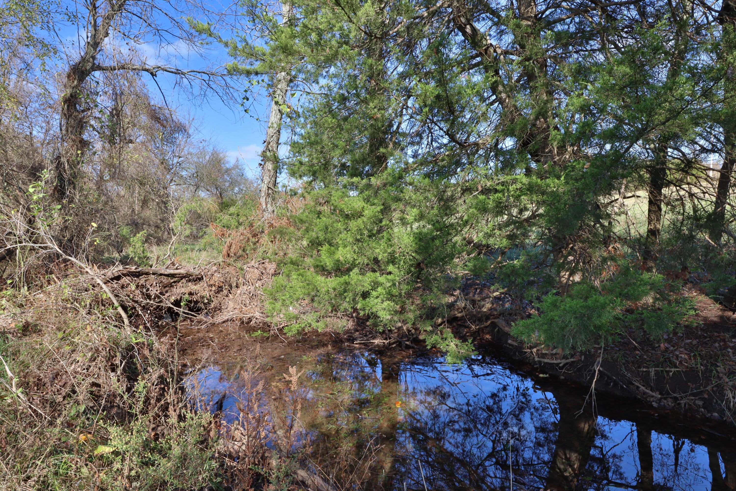 Photo 4 - Land for sale – 000 W State Highway U   Walnut Grove, MO