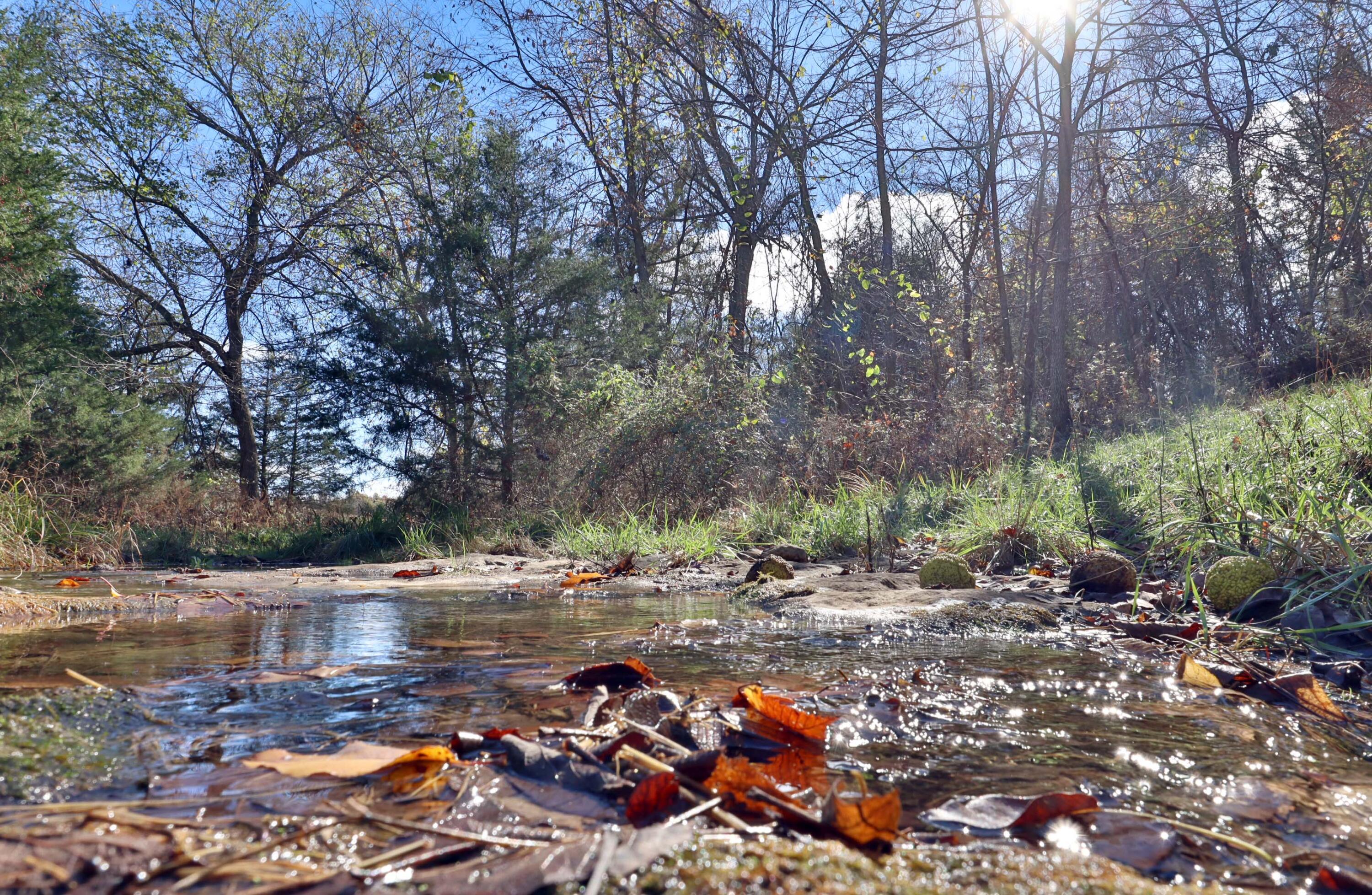 Photo 8 - Land for sale – 000 W State Highway U   Walnut Grove, MO