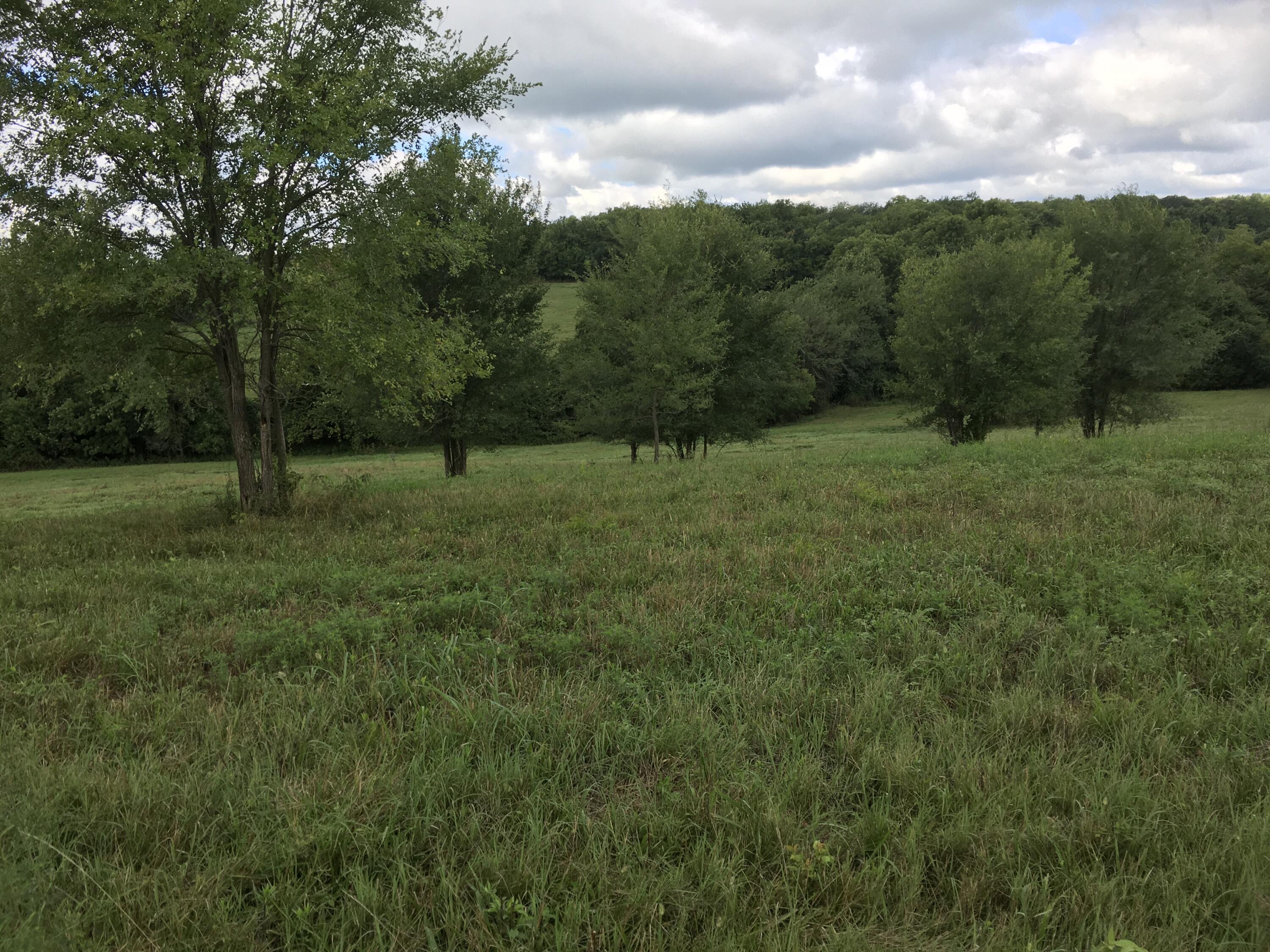 Photo 2 - Land for sale – 000 W State Highway U   Walnut Grove, MO