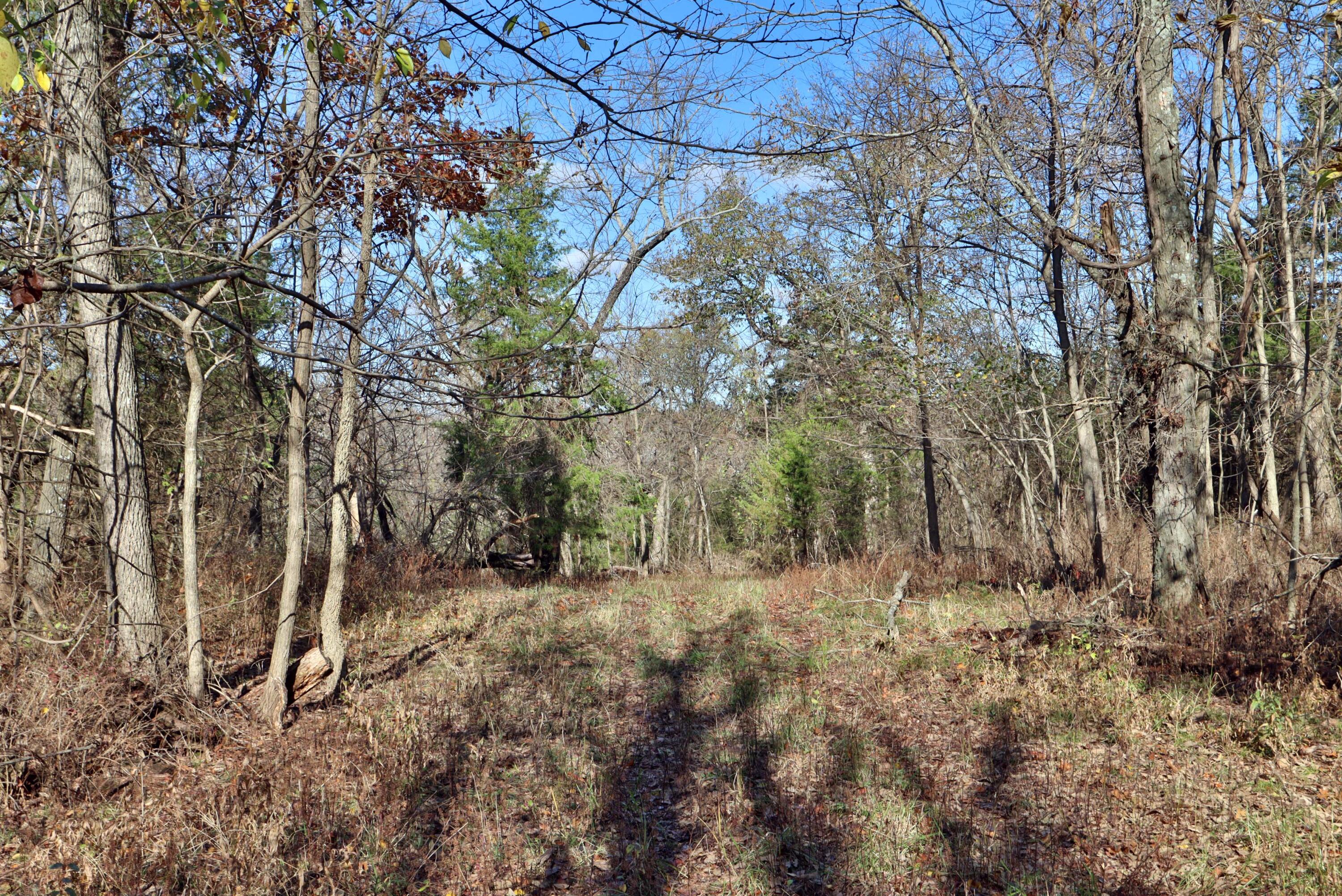 Photo 6 - Land for sale – 000 W State Highway U   Walnut Grove, MO