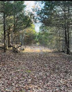 Photo 2 - Land for sale – 14 & 15  Treasure Point   Lampe, MO