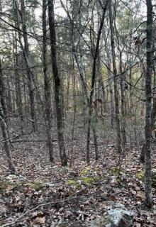 Photo 3 - Land for sale – 14 & 15  Treasure Point   Lampe, MO
