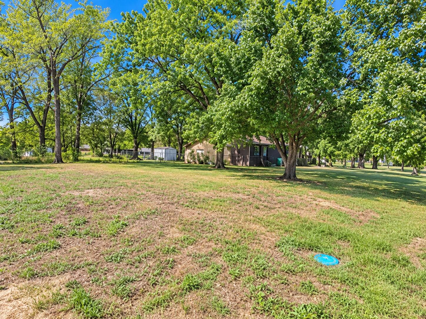Photo 2 - Residential for sale – 423 N Clark Street  Everton, MO