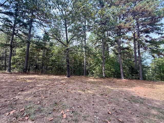 Photo 29 - Residential for sale – 7807  County Road 564   Winona, MO
