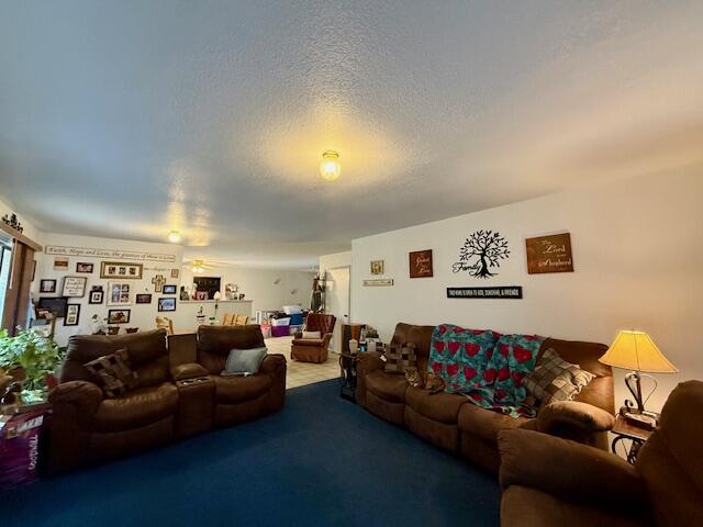Photo 9 - Residential for sale – 7807  County Road 564   Winona, MO