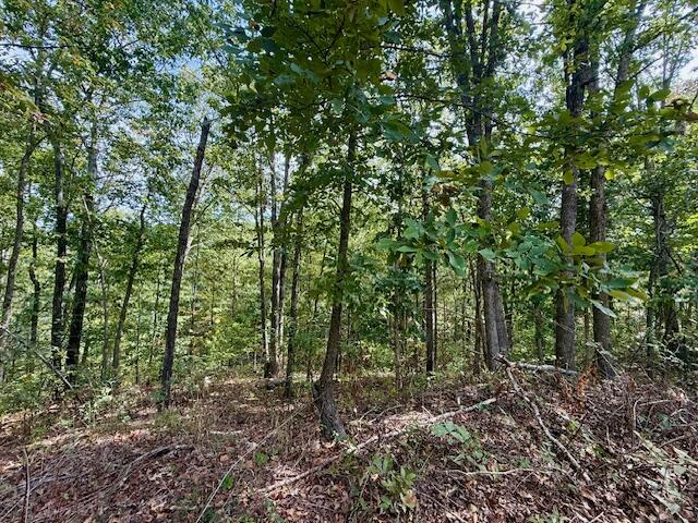 Photo 30 - Residential for sale – 7807  County Road 564   Winona, MO