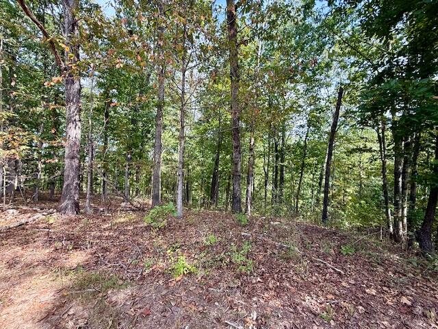 Photo 32 - Residential for sale – 7807  County Road 564   Winona, MO