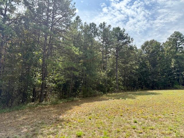 Photo 33 - Residential for sale – 7807  County Road 564   Winona, MO