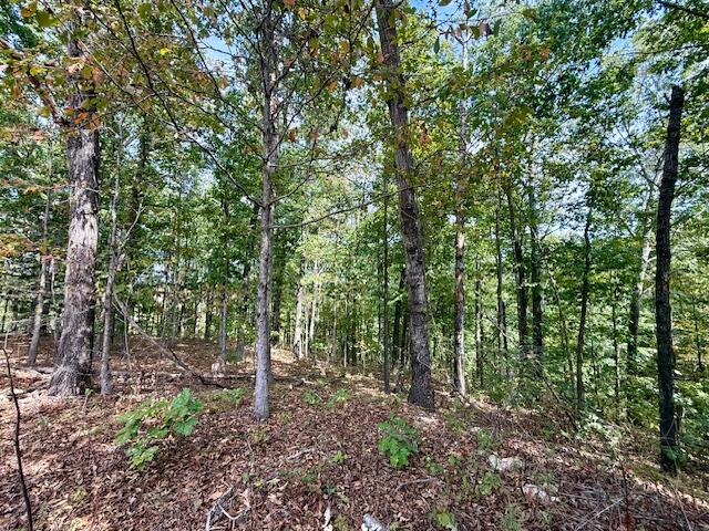 Photo 31 - Residential for sale – 7807  County Road 564   Winona, MO