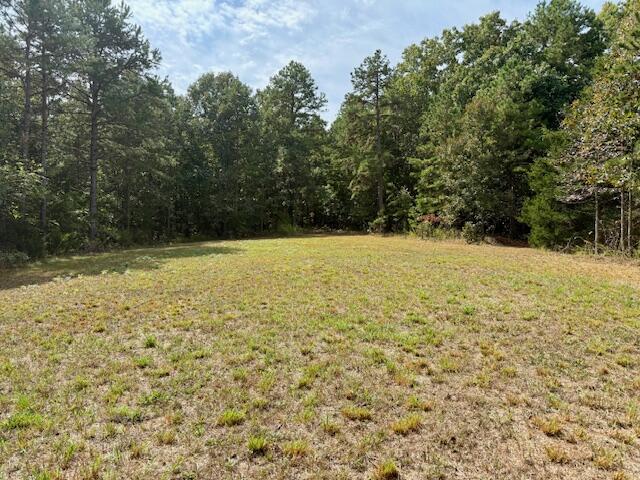 Photo 34 - Residential for sale – 7807  County Road 564   Winona, MO