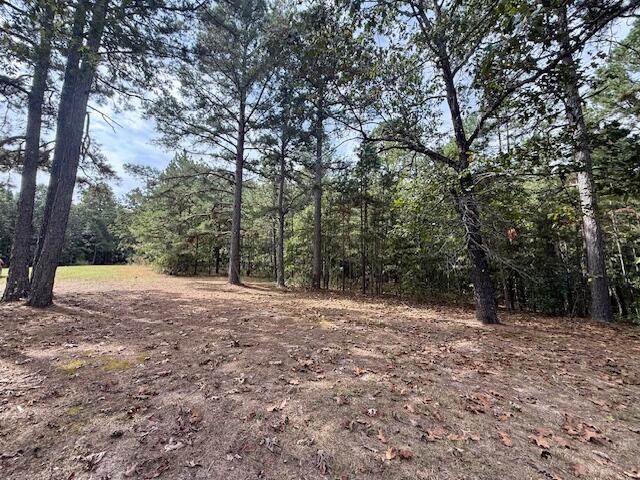 Photo 28 - Residential for sale – 7807  County Road 564   Winona, MO