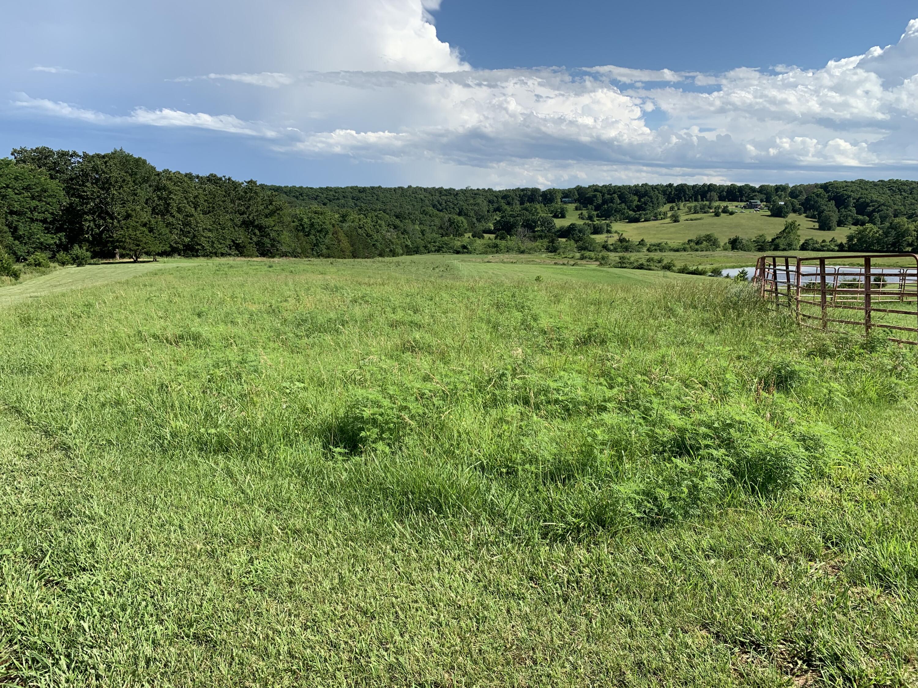 Photo 24 - Land for sale – 12  Fineview Lane  Long Lane, MO