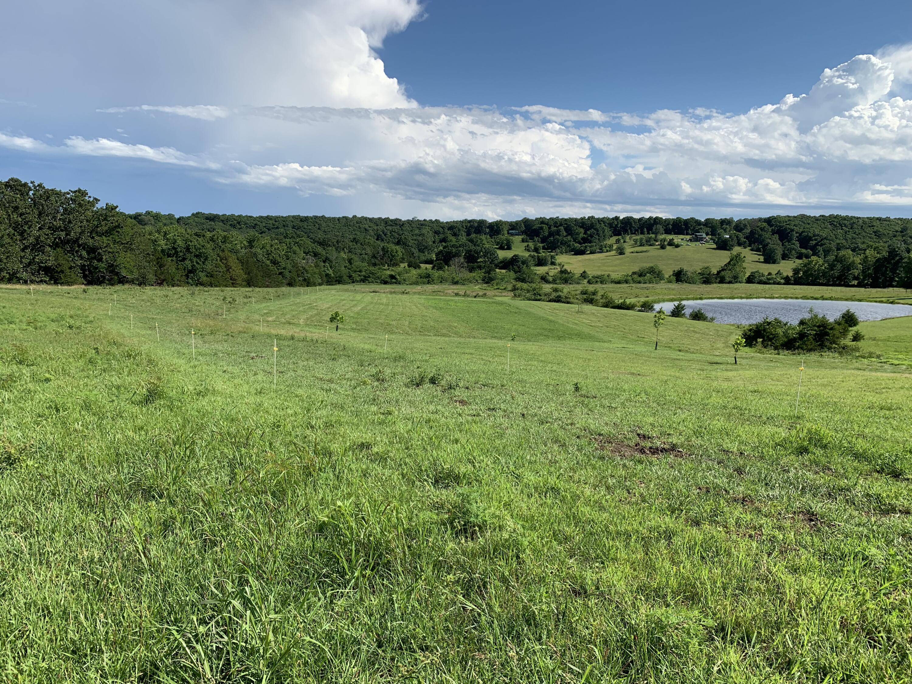 Photo 10 - Land for sale – 12  Fineview Lane  Long Lane, MO