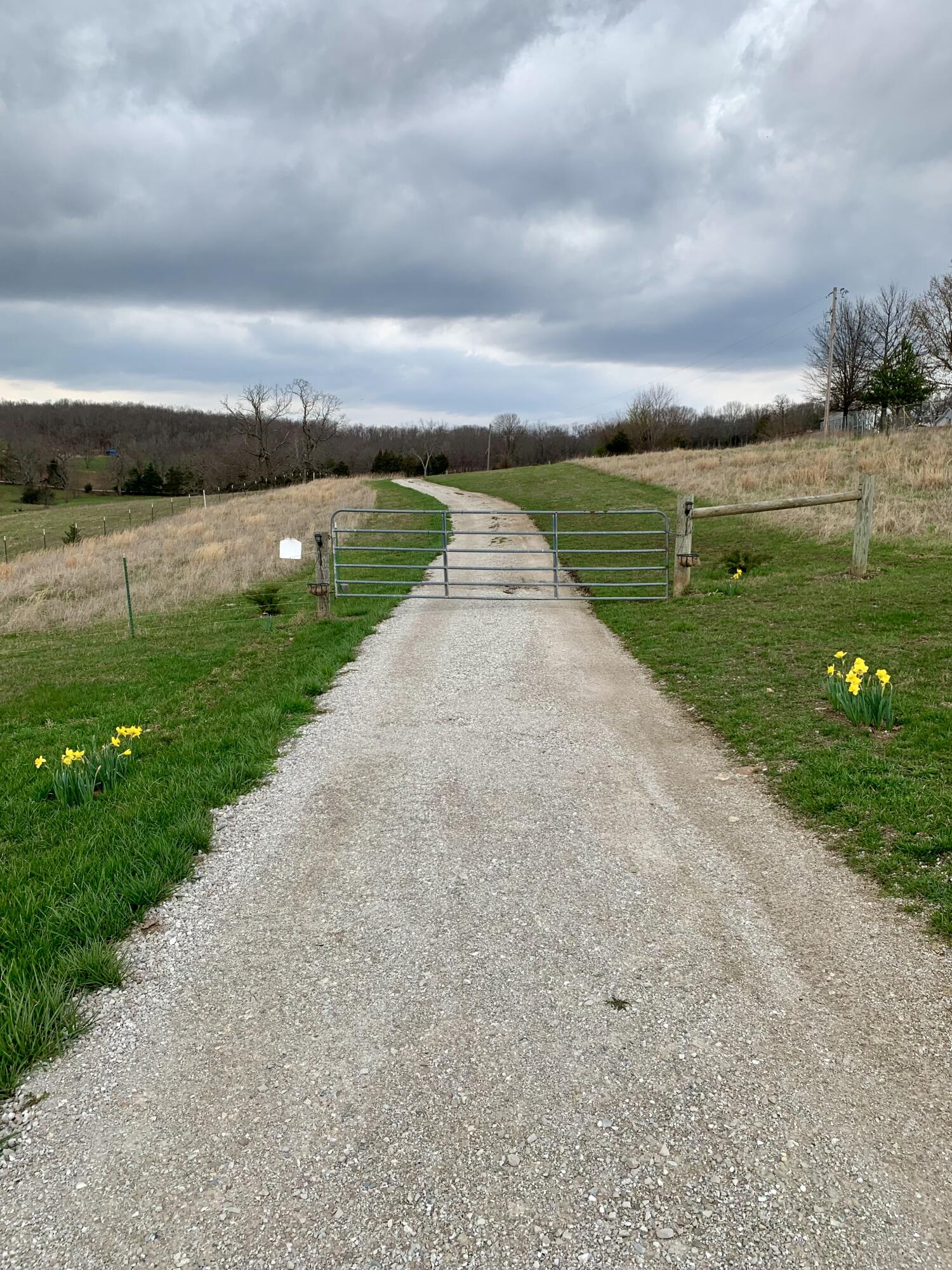 Photo 37 - Land for sale – 12  Fineview Lane  Long Lane, MO