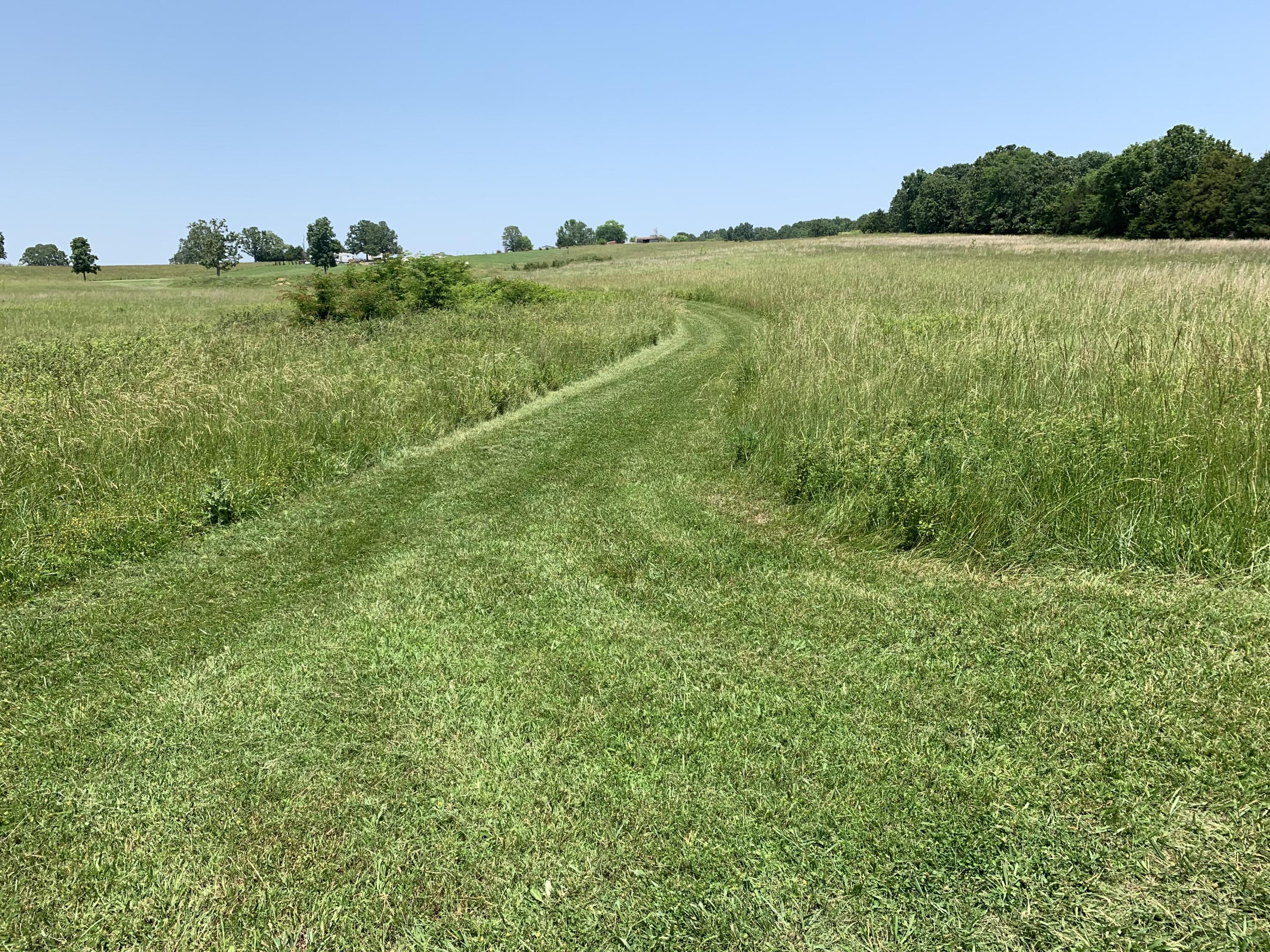 Photo 11 - Land for sale – 12  Fineview Lane  Long Lane, MO