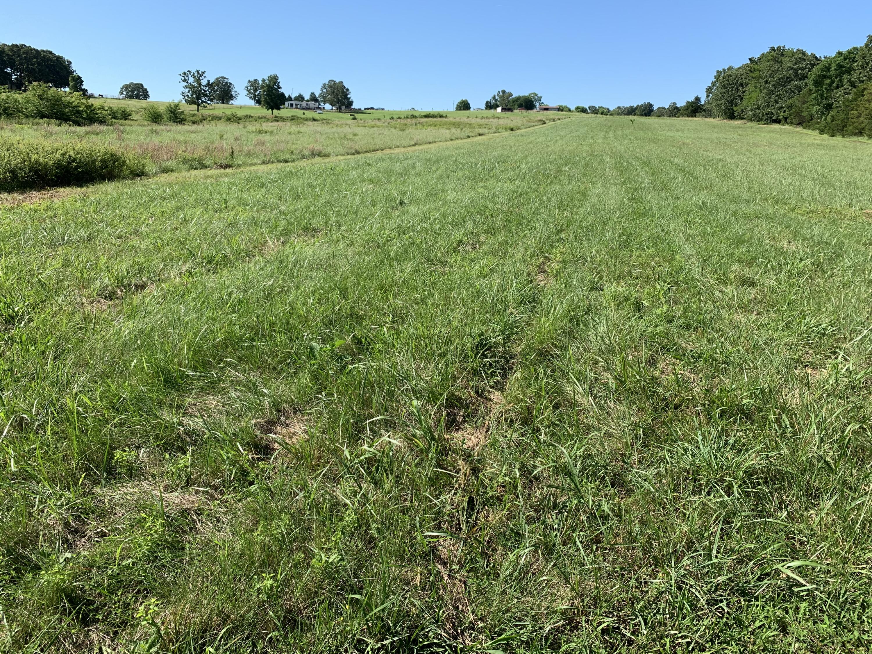 Photo 7 - Land for sale – 12  Fineview Lane  Long Lane, MO