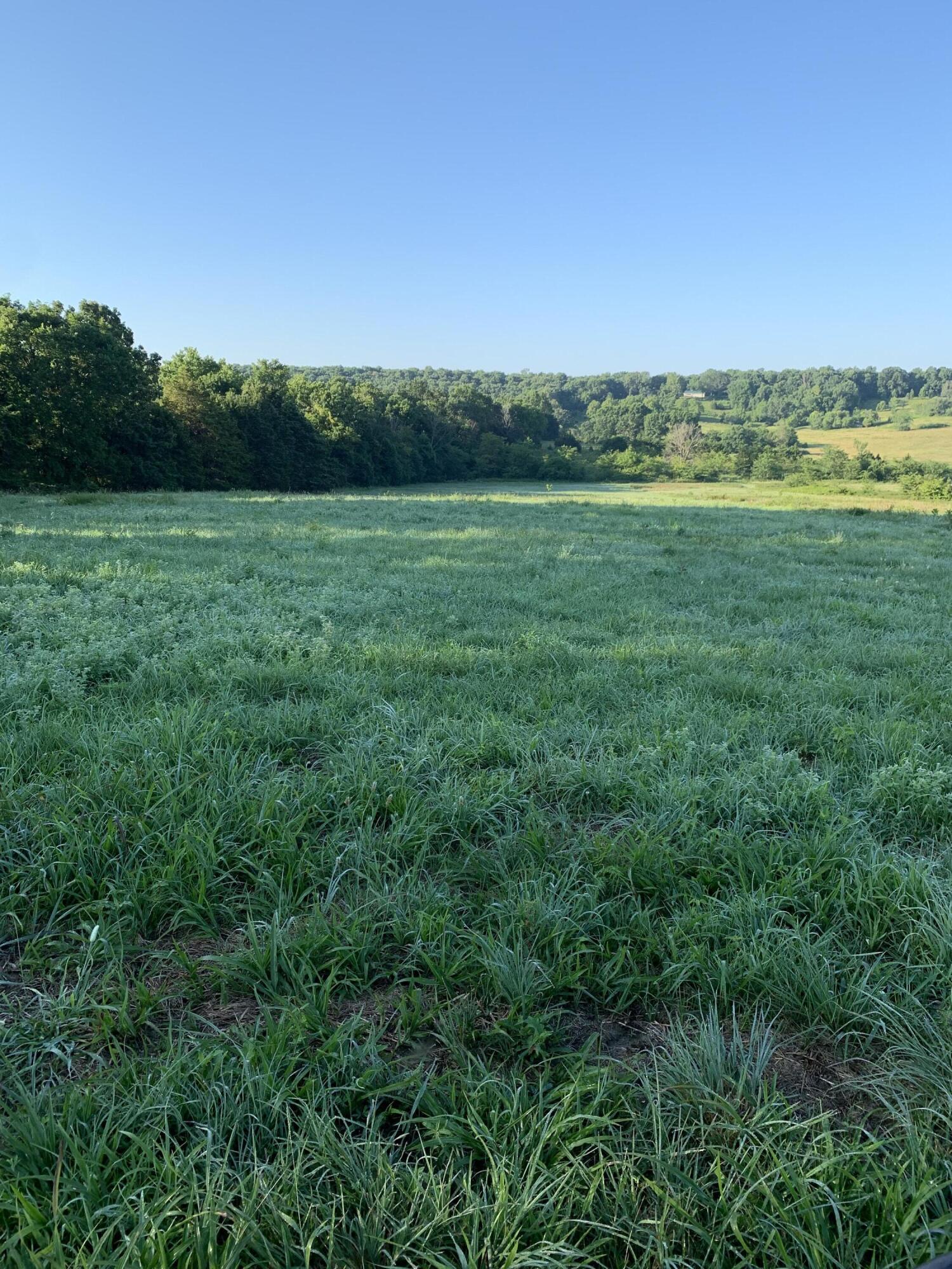 Photo 27 - Land for sale – 12  Fineview Lane  Long Lane, MO