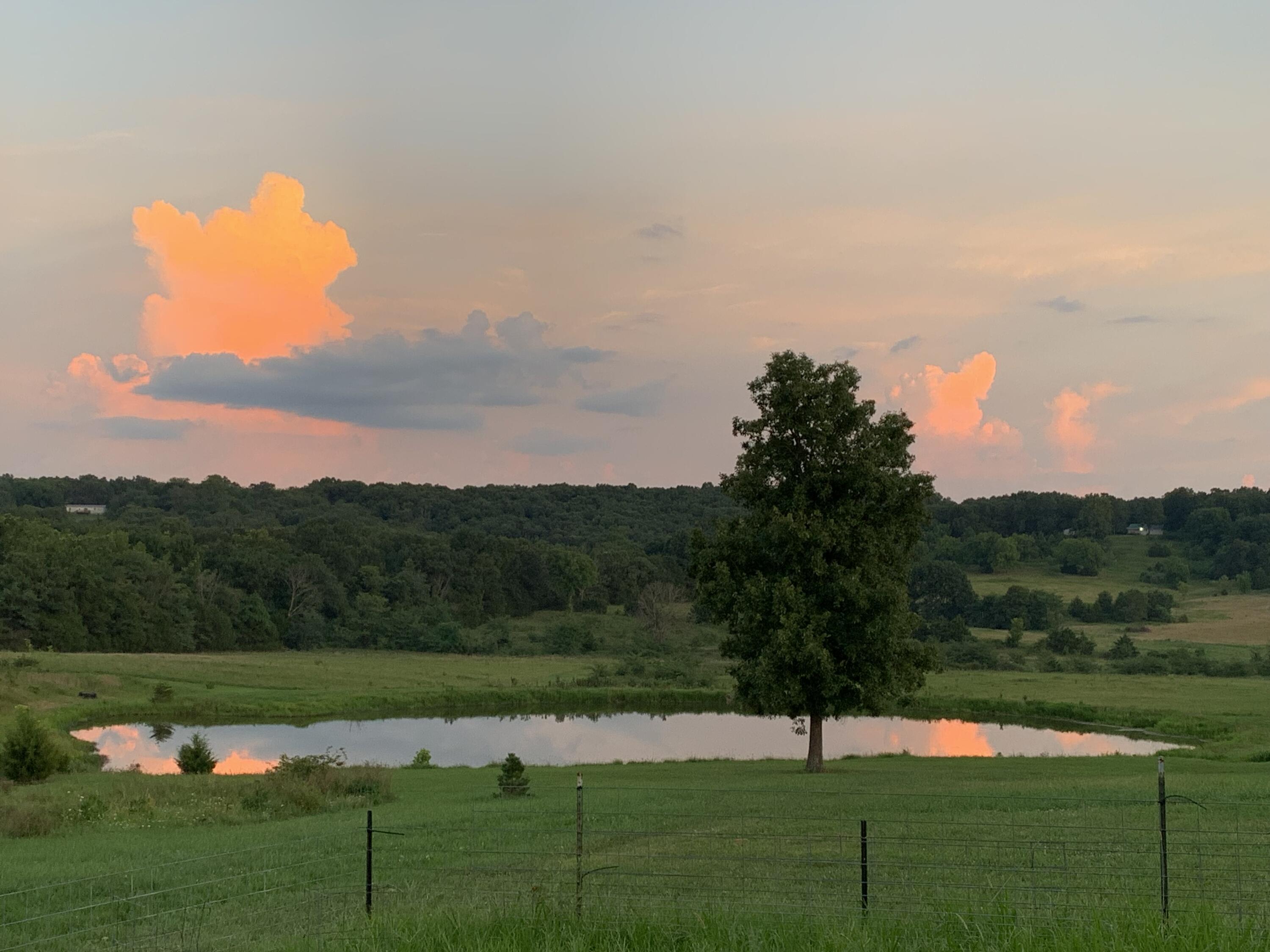 Photo 15 - Land for sale – 12  Fineview Lane  Long Lane, MO