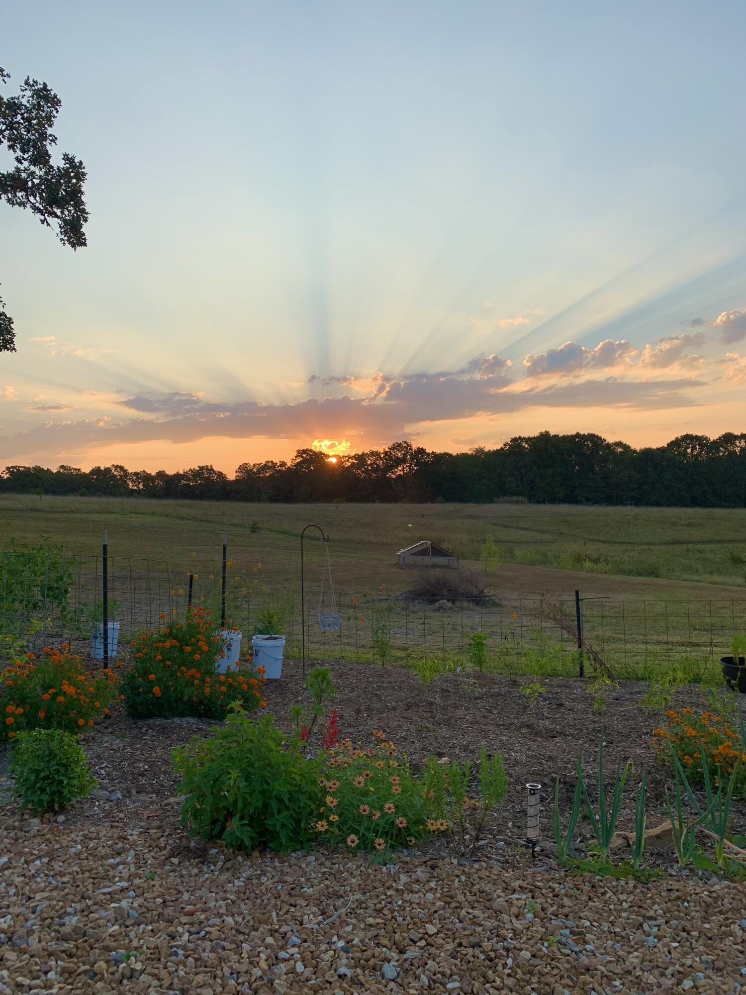 Photo 16 - Land for sale – 12  Fineview Lane  Long Lane, MO