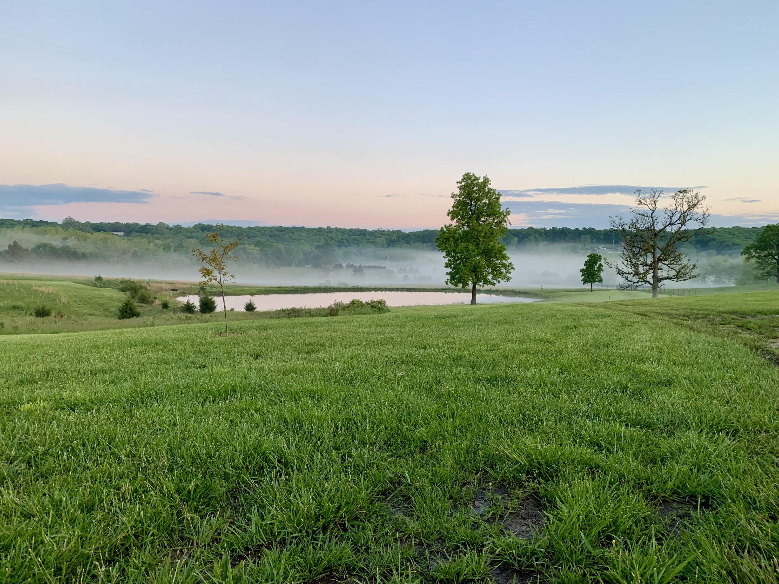 Land for sale – 12  Fineview Lane  Long Lane, MO