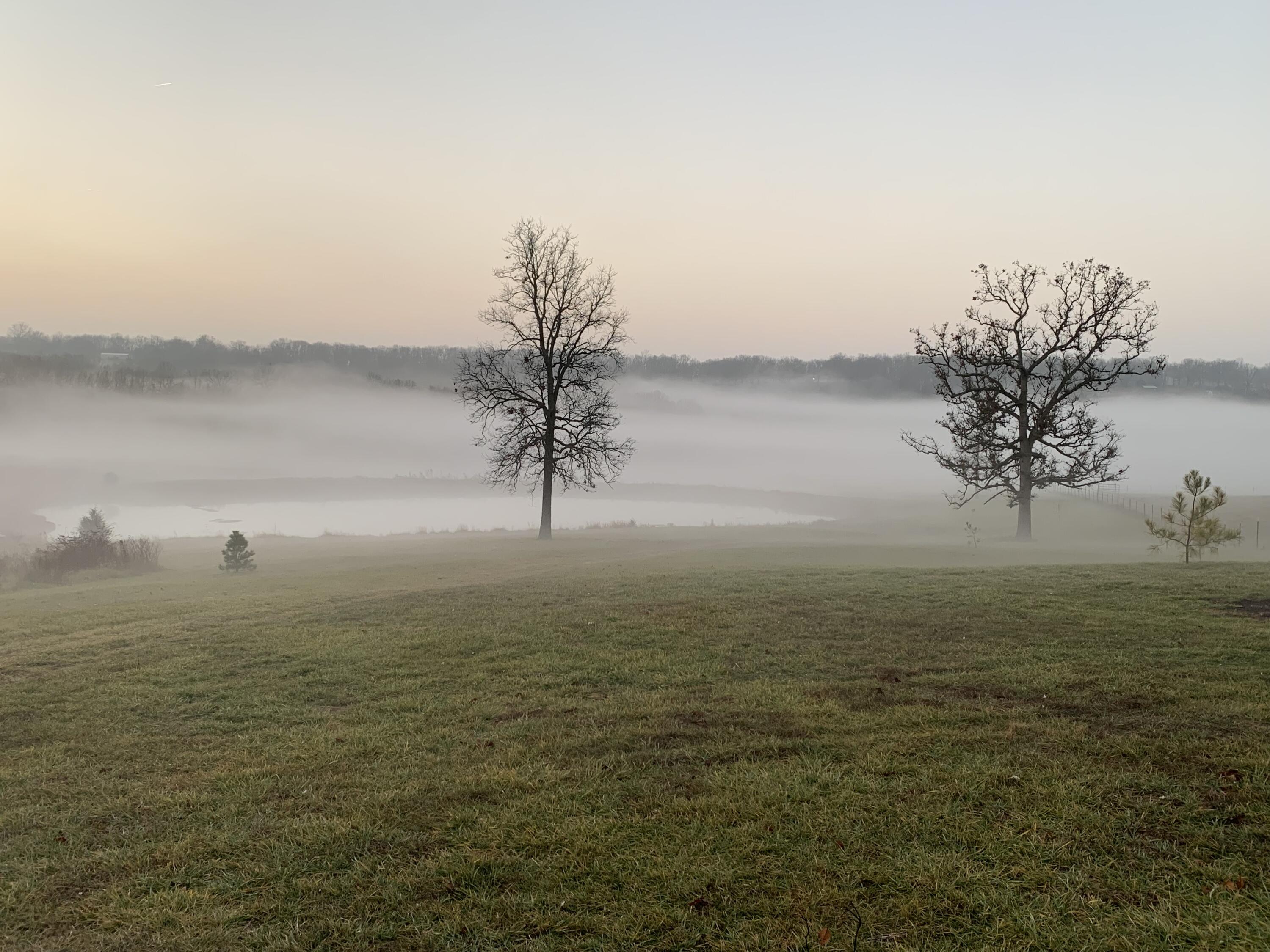 Photo 20 - Land for sale – 12  Fineview Lane  Long Lane, MO