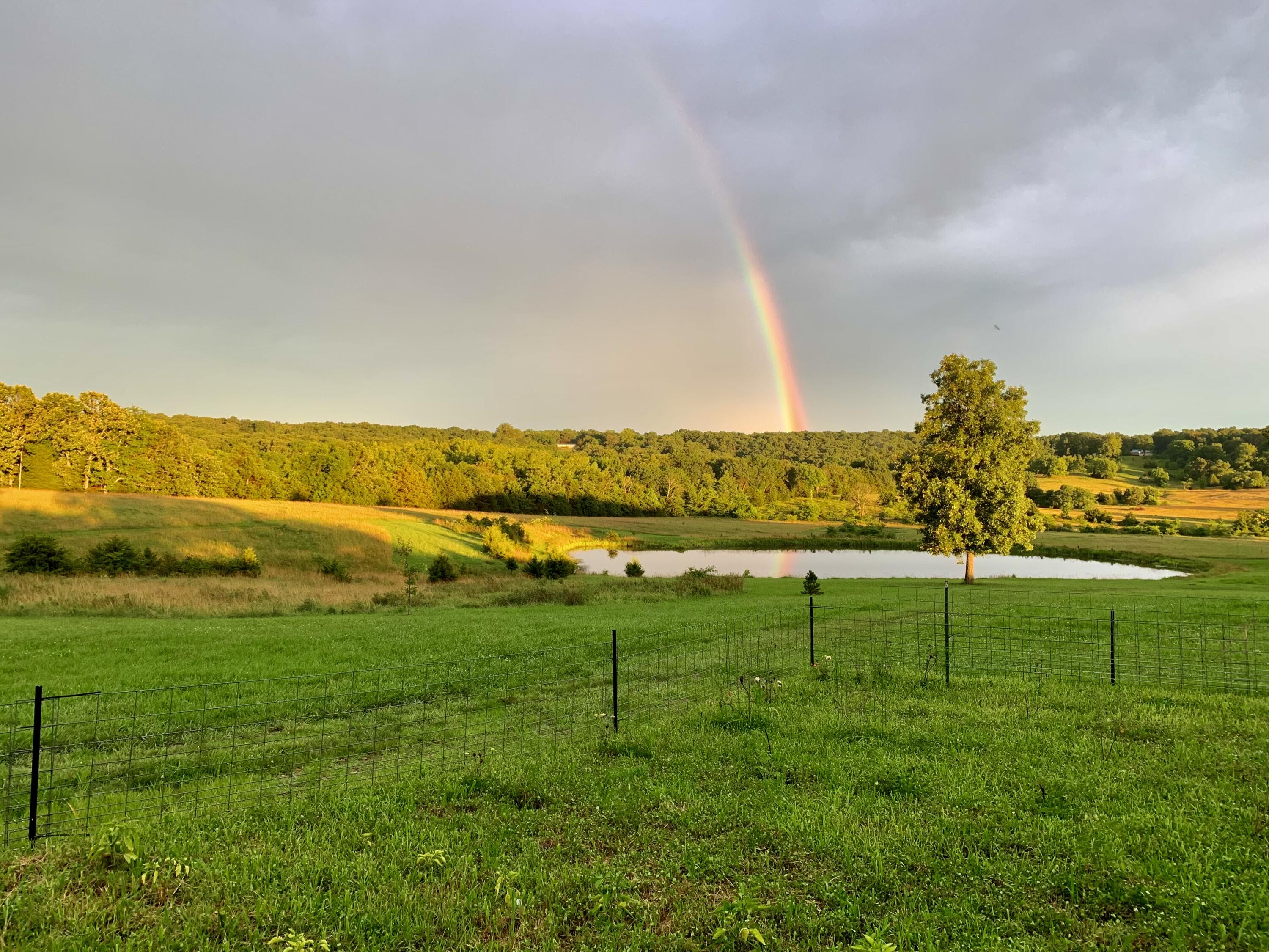 Photo 14 - Land for sale – 12  Fineview Lane  Long Lane, MO