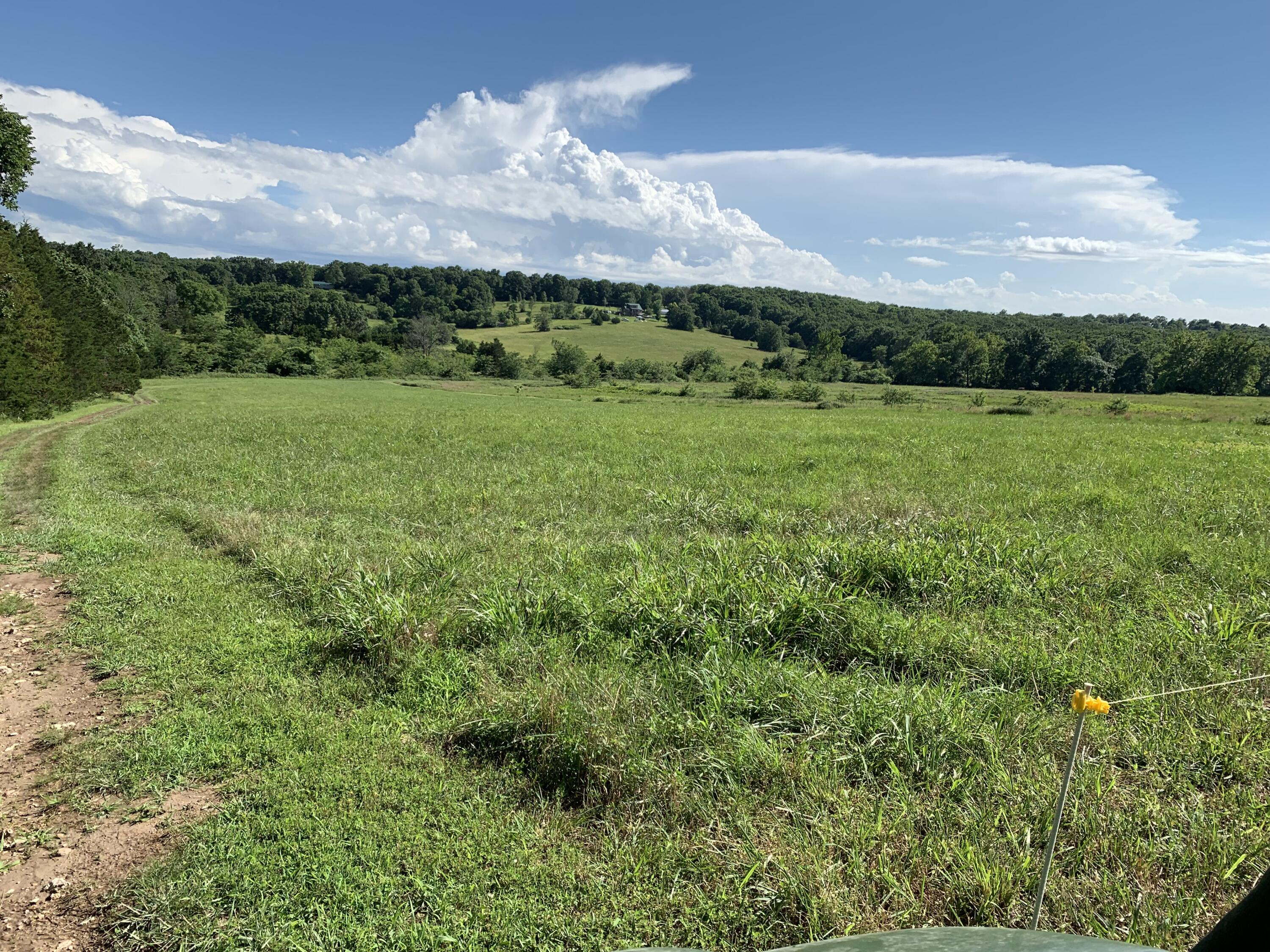 Photo 8 - Land for sale – 12  Fineview Lane  Long Lane, MO