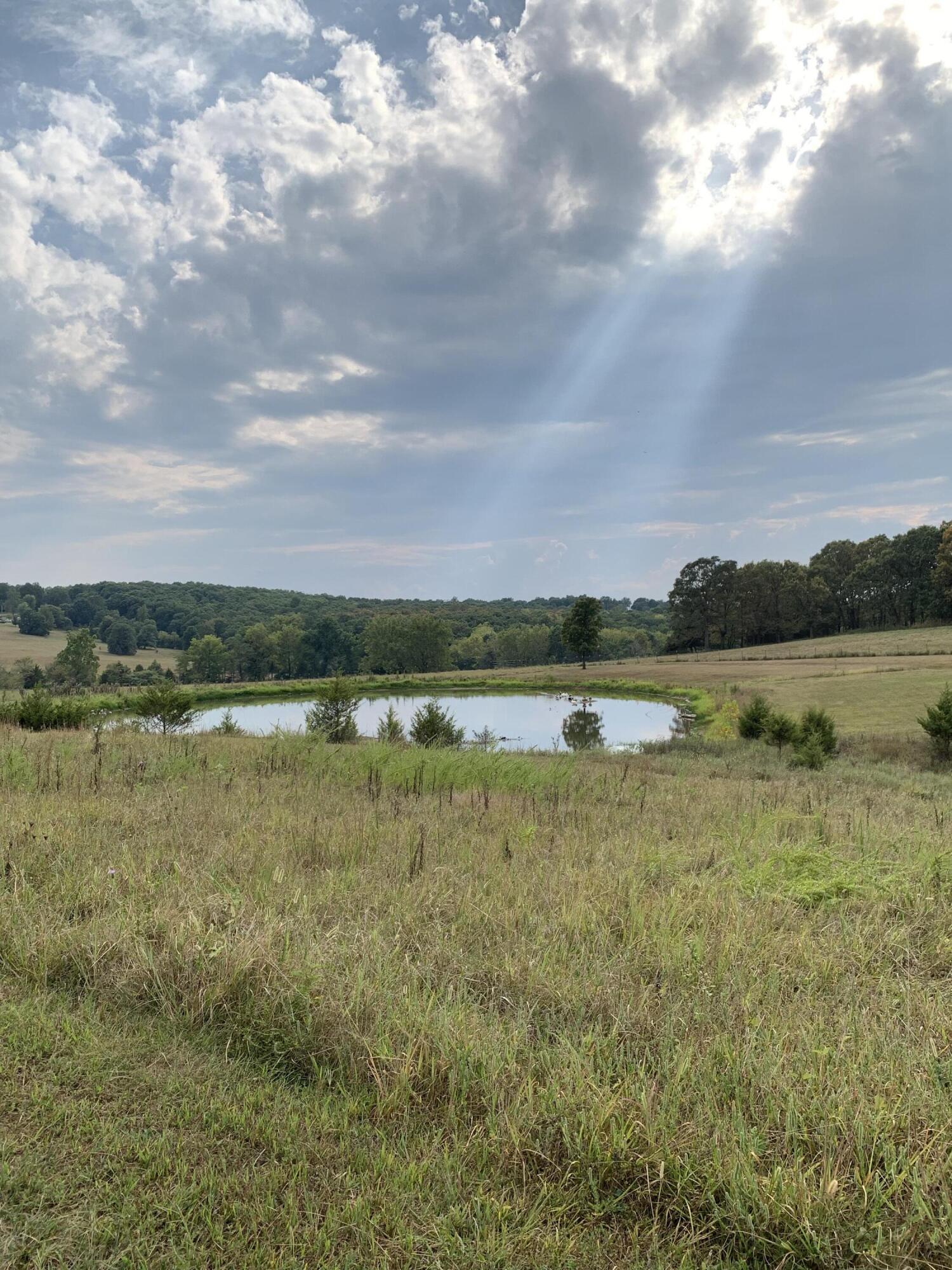 Photo 17 - Land for sale – 12  Fineview Lane  Long Lane, MO