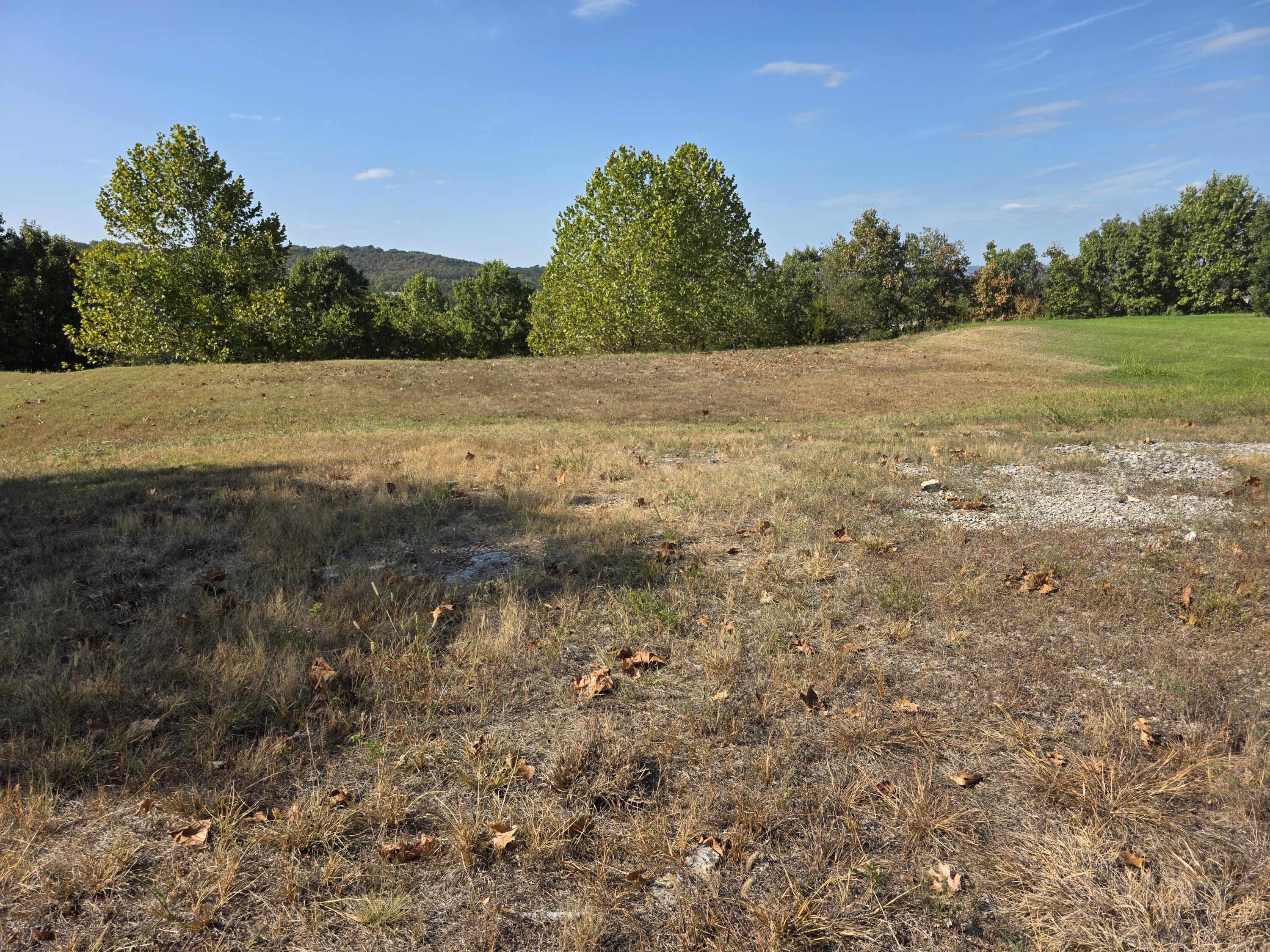 Photo 2 - Land for sale – 117  Greystone Drive  Hollister, MO