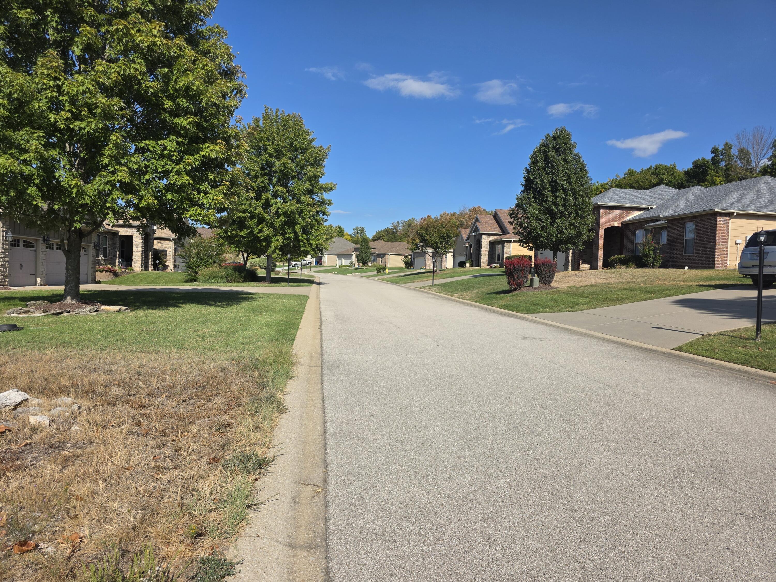 Photo 7 - Land for sale – 117  Greystone Drive  Hollister, MO