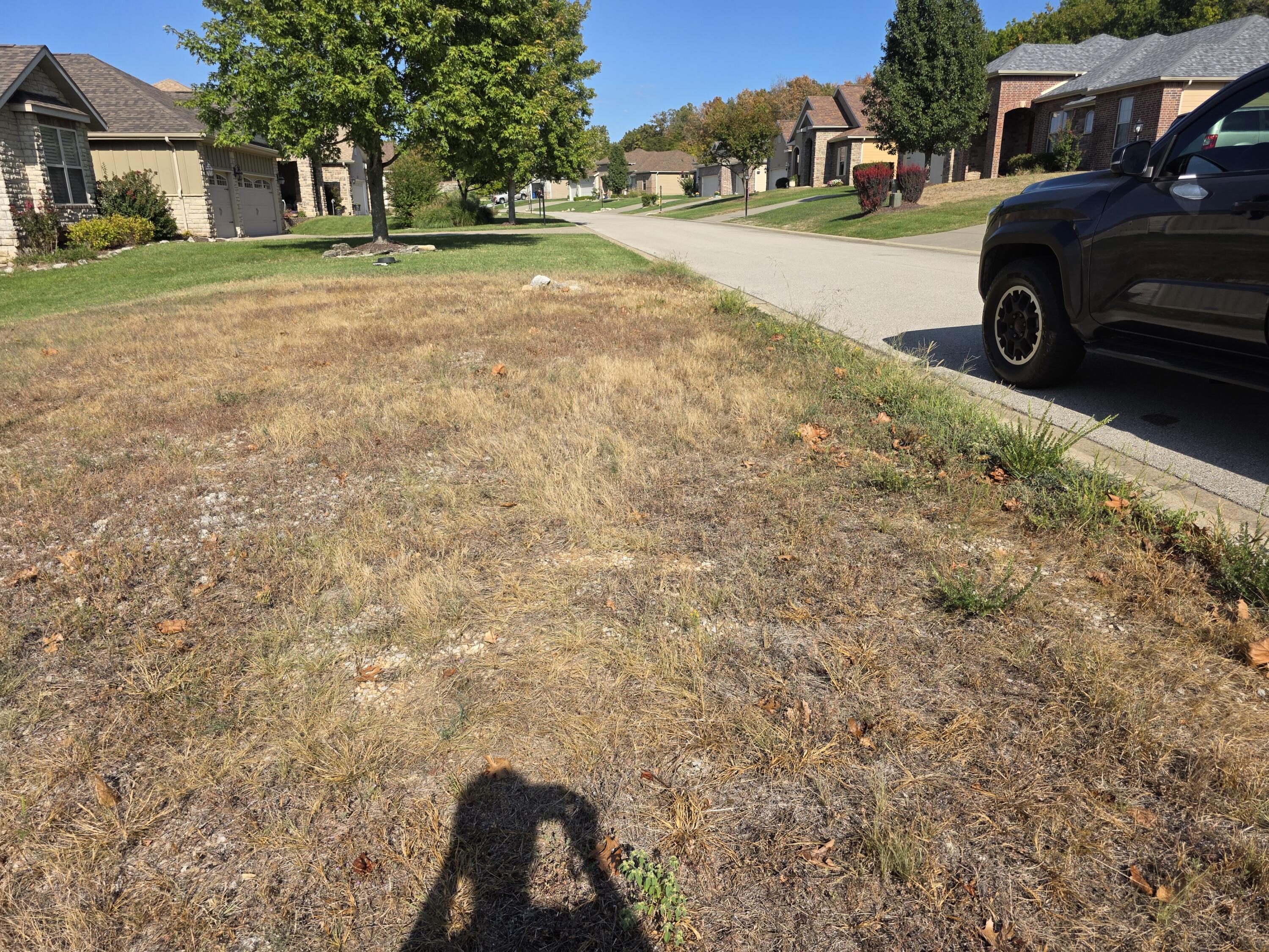Photo 4 - Land for sale – 117  Greystone Drive  Hollister, MO