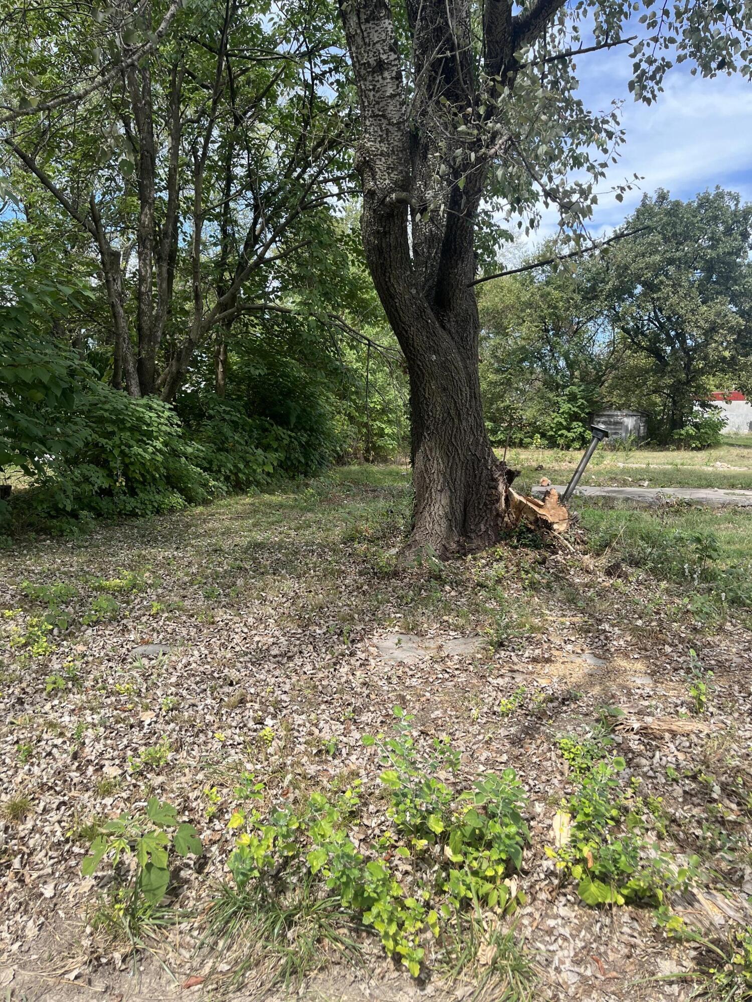 Photo 4 - Land for sale – 346 W Washington Street  Verona, MO