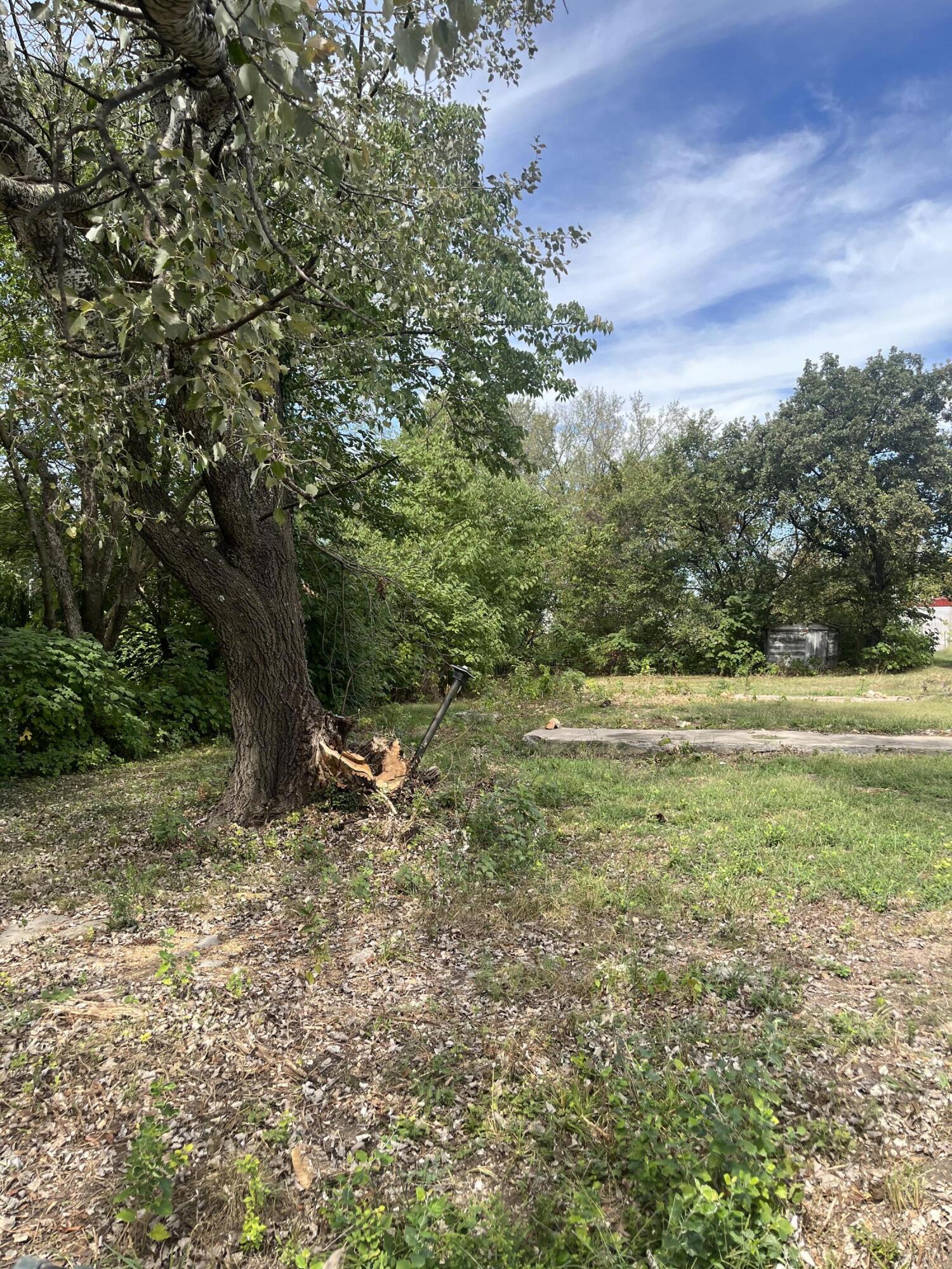 Photo 3 - Land for sale – 346 W Washington Street  Verona, MO