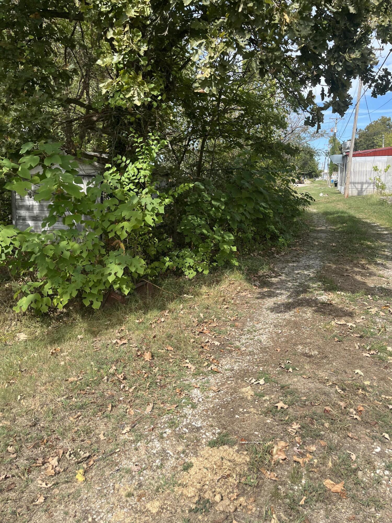 Photo 8 - Land for sale – 346 W Washington Street  Verona, MO