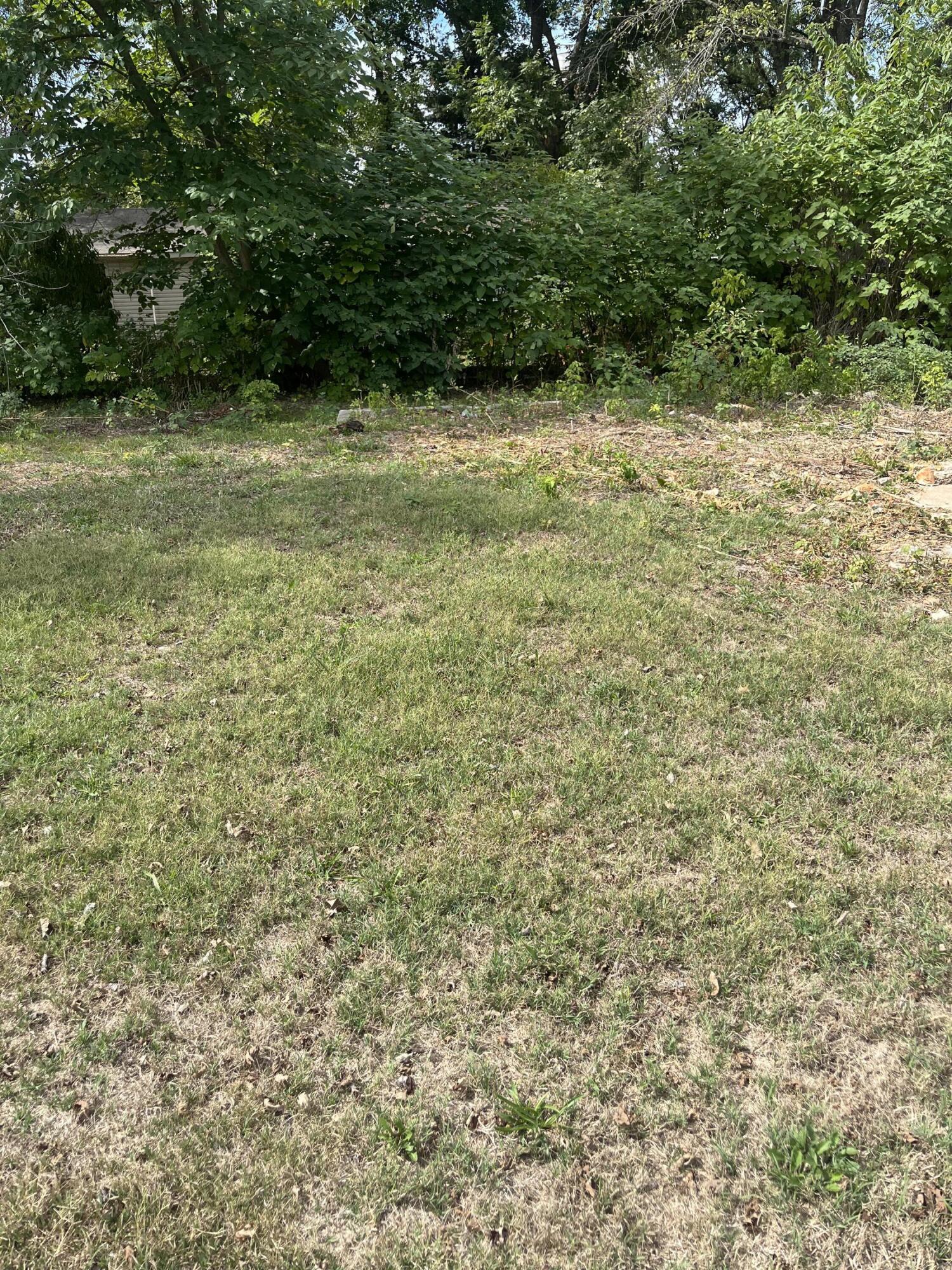 Photo 7 - Land for sale – 346 W Washington Street  Verona, MO