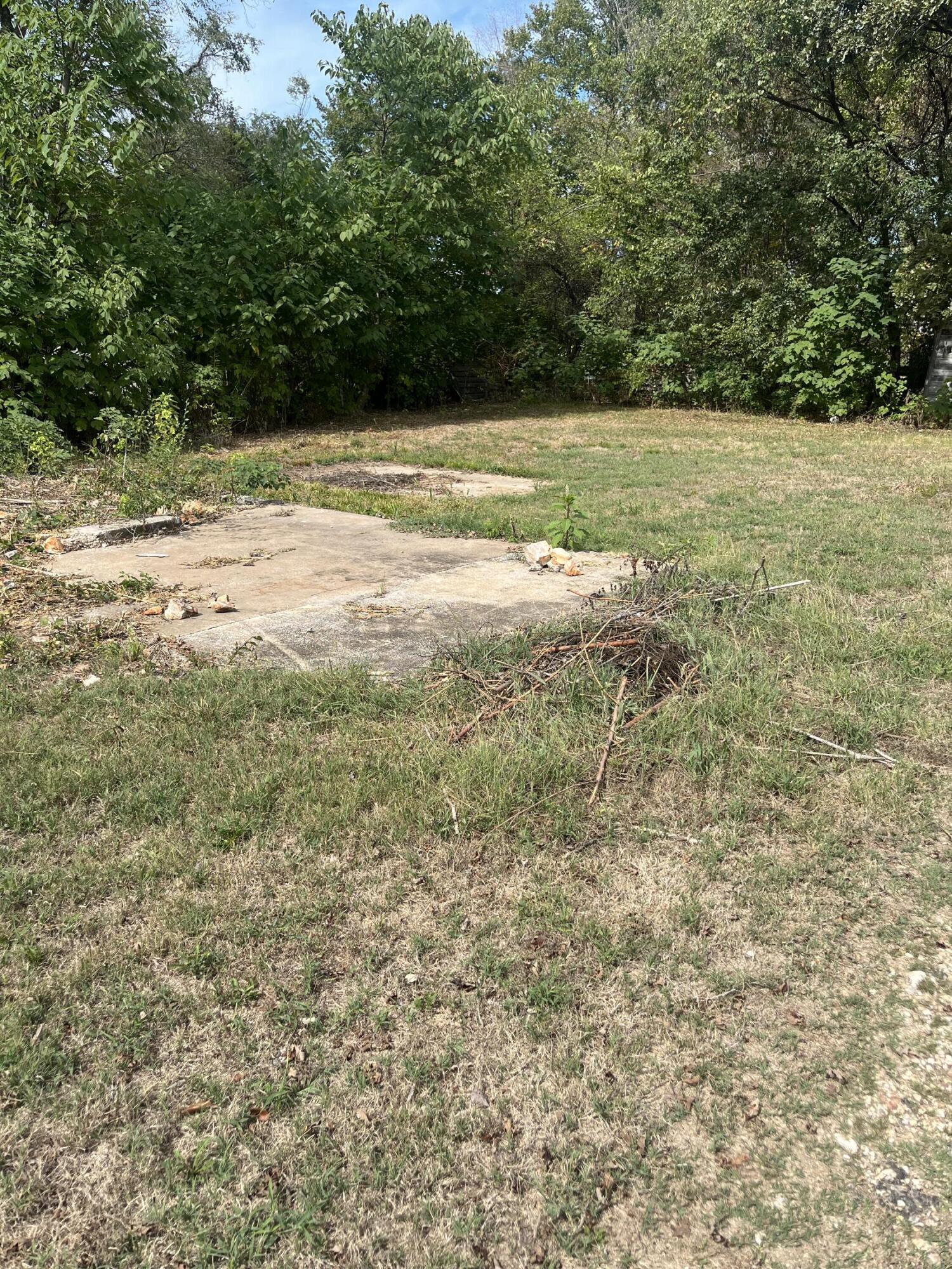 Photo 6 - Land for sale – 346 W Washington Street  Verona, MO