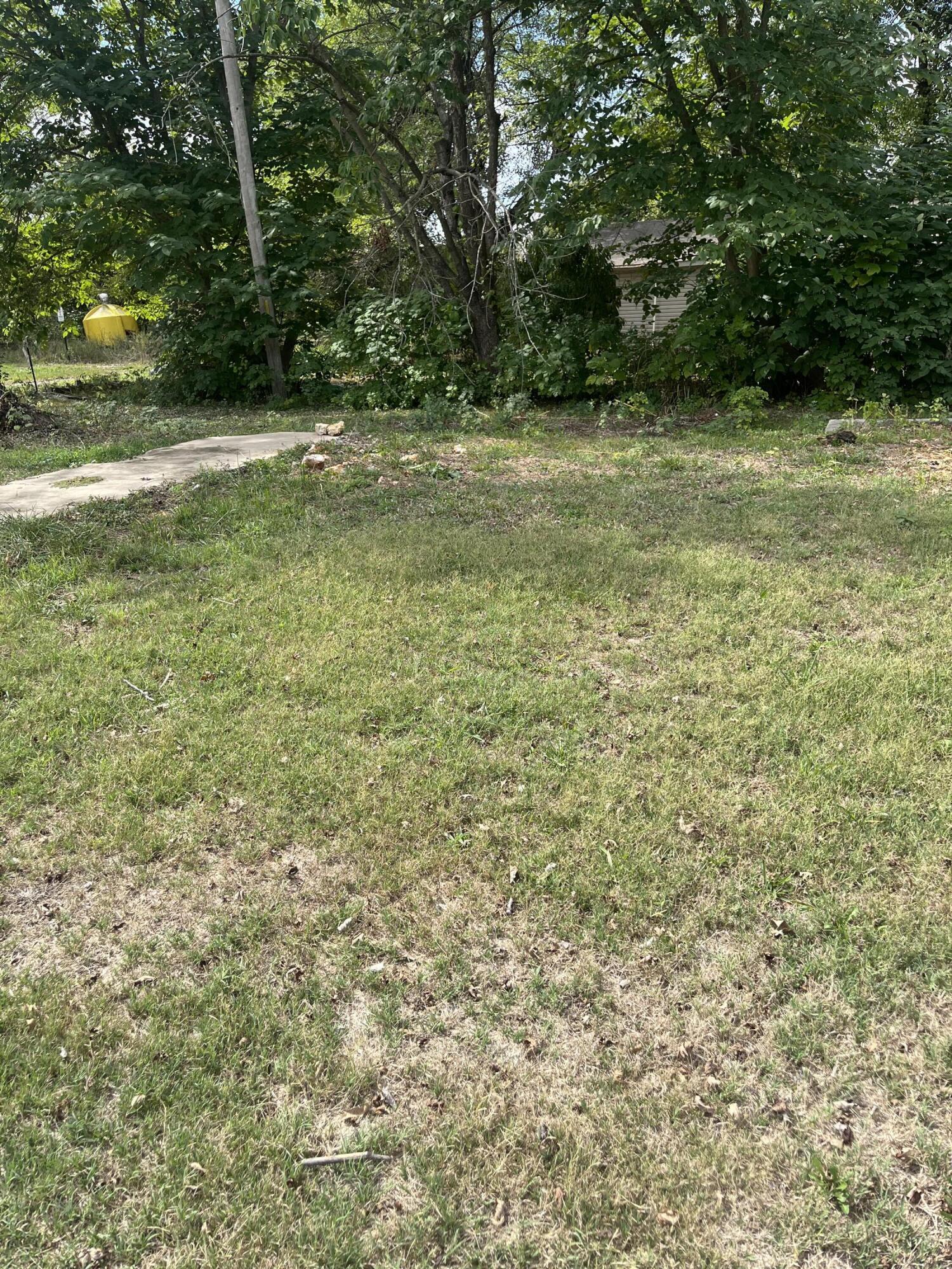 Photo 5 - Land for sale – 346 W Washington Street  Verona, MO