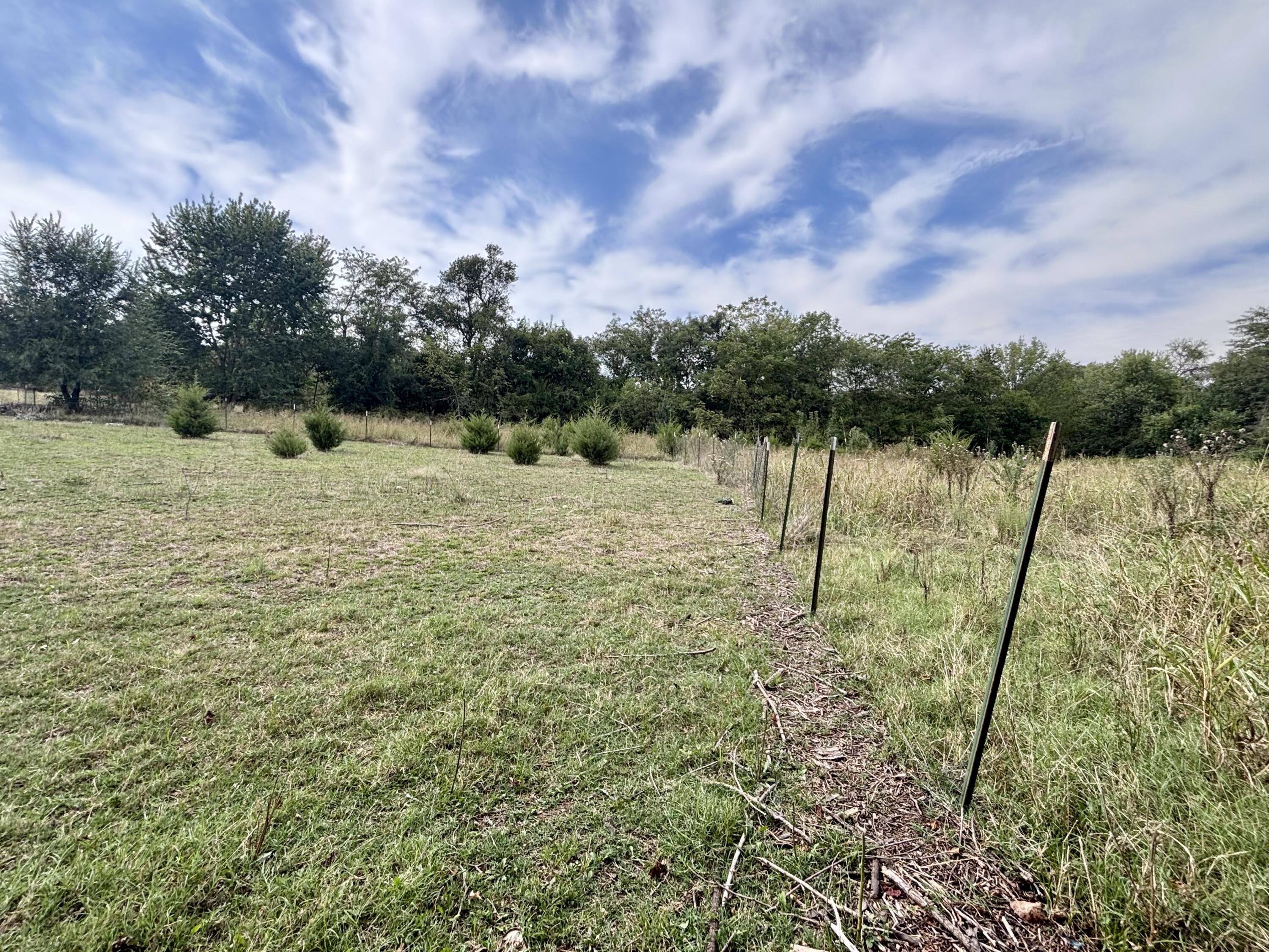 Photo 4 - Land for sale – 439 W Hines   Republic, MO