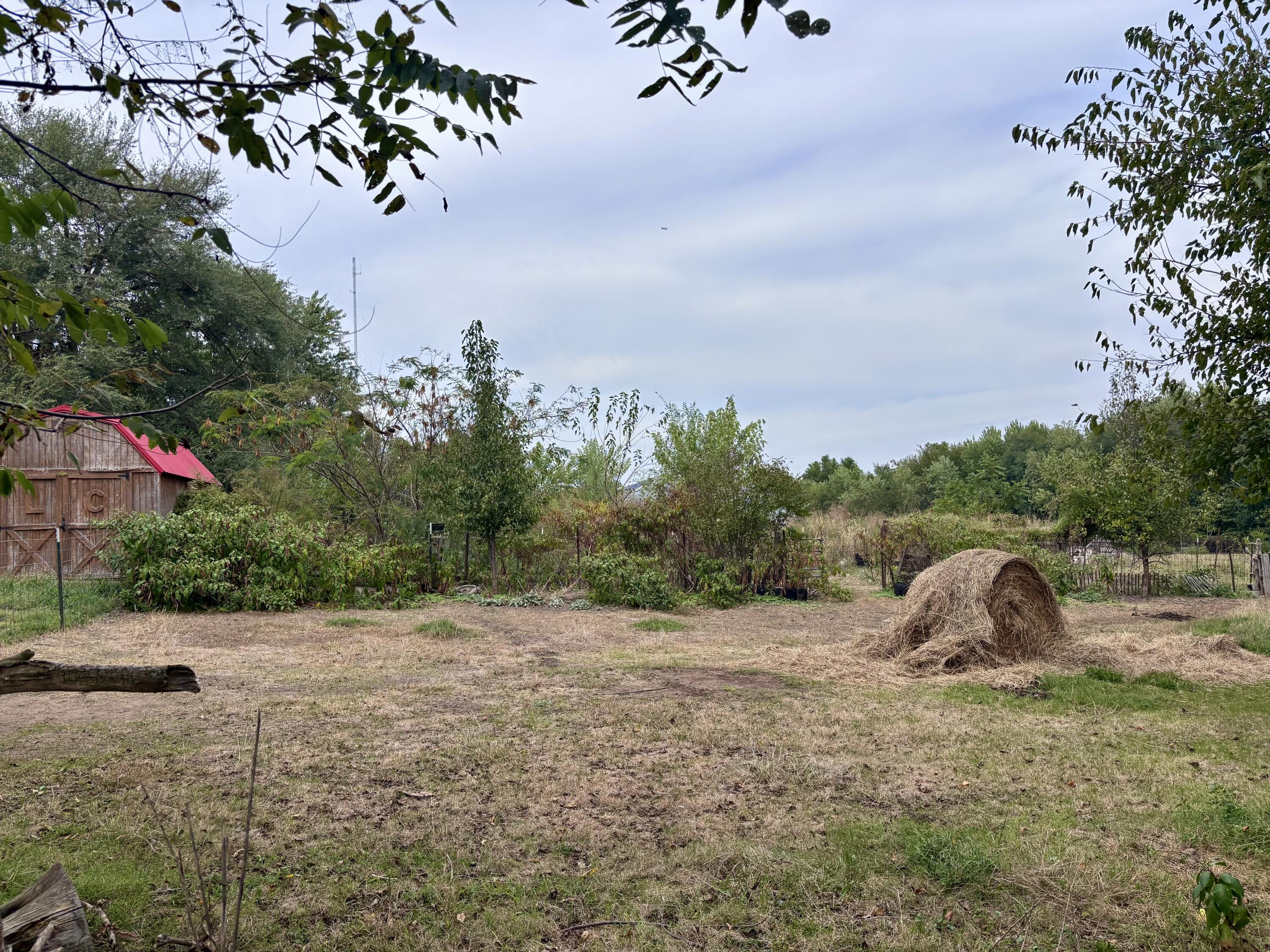 Photo 7 - Land for sale – 439 W Hines   Republic, MO