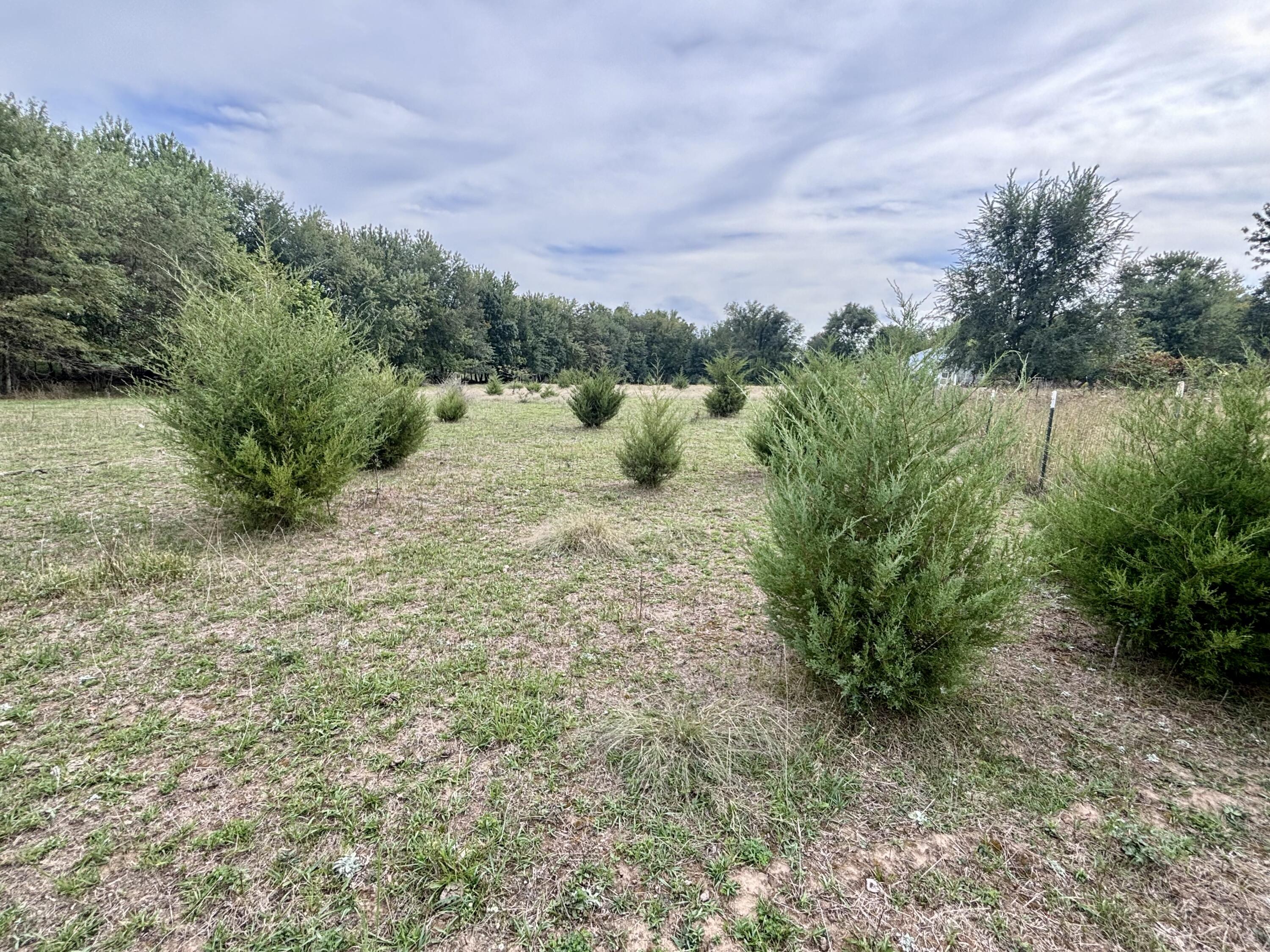 Photo 2 - Land for sale – 439 W Hines   Republic, MO
